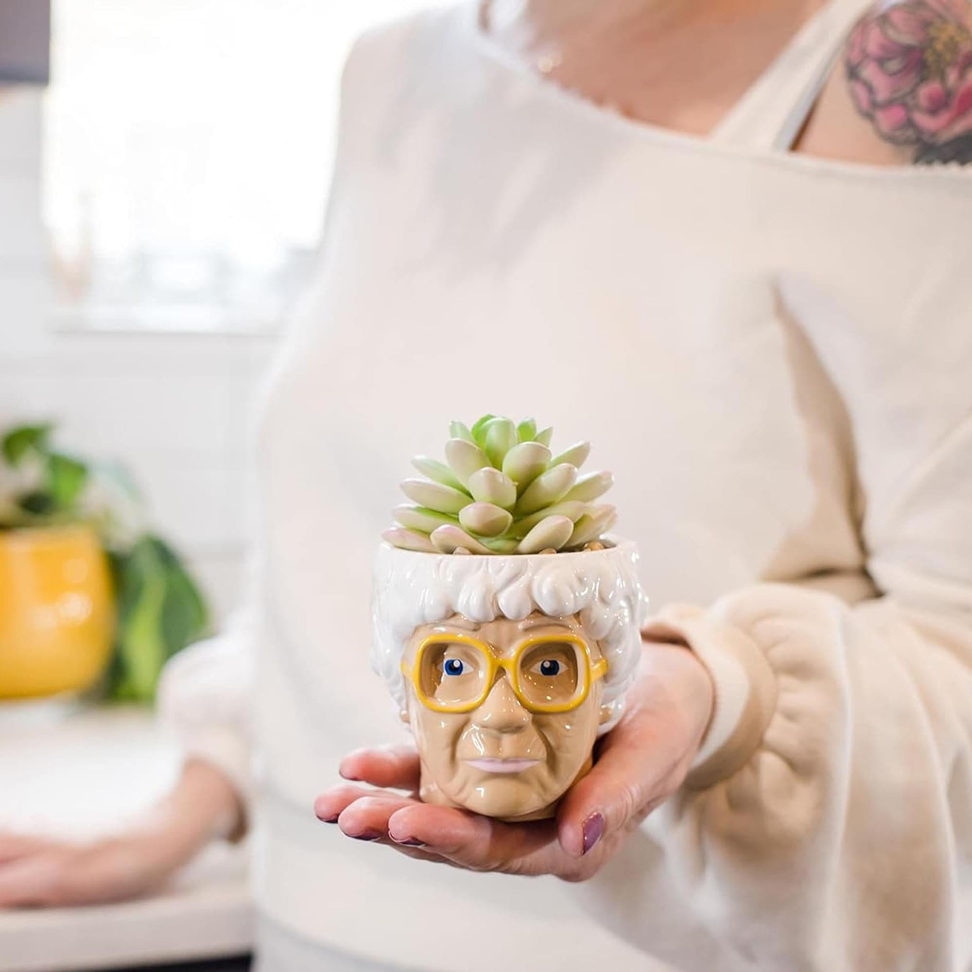 The Golden Girls Face Mini Ceramic Planter With Faux Succulent | Set of 4