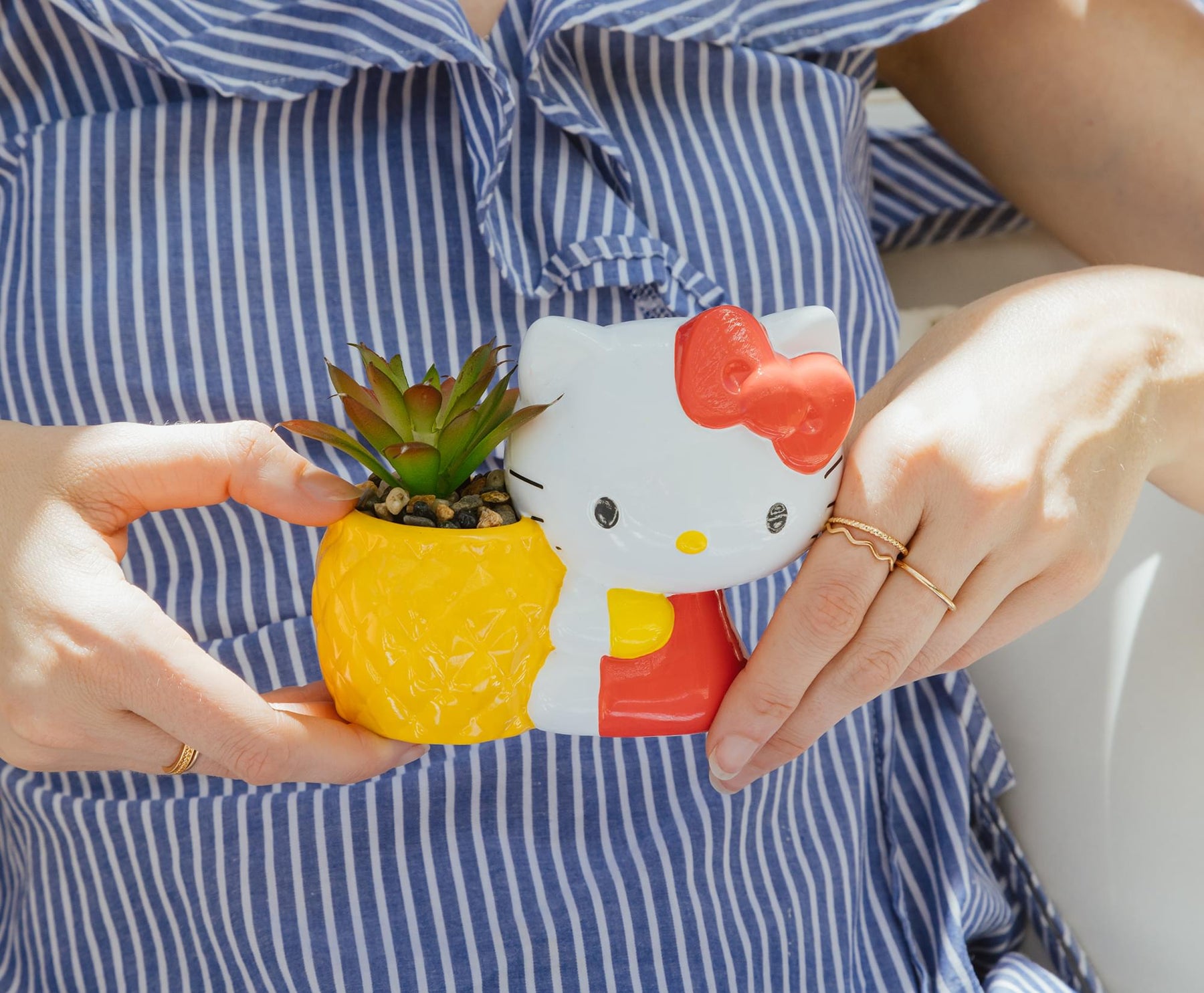 ceramic pineapple planter Sanrio Hello Kitty Pineapple Ceramic Mini Planter With Artificial Succulent