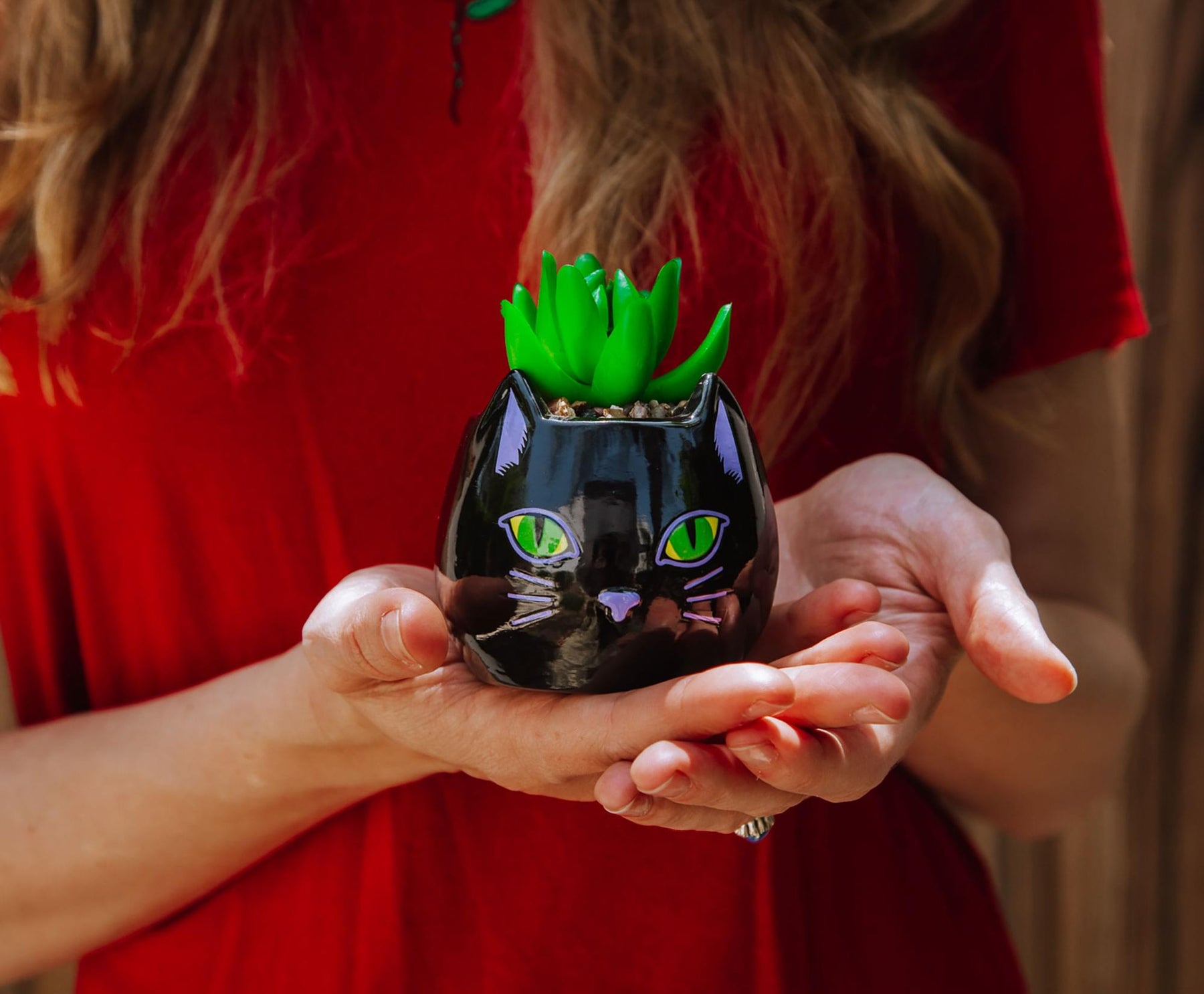 black cat succulent Disney Hocus Pocus Binx Is My Boo Ceramic Planter with Artificial Succulent