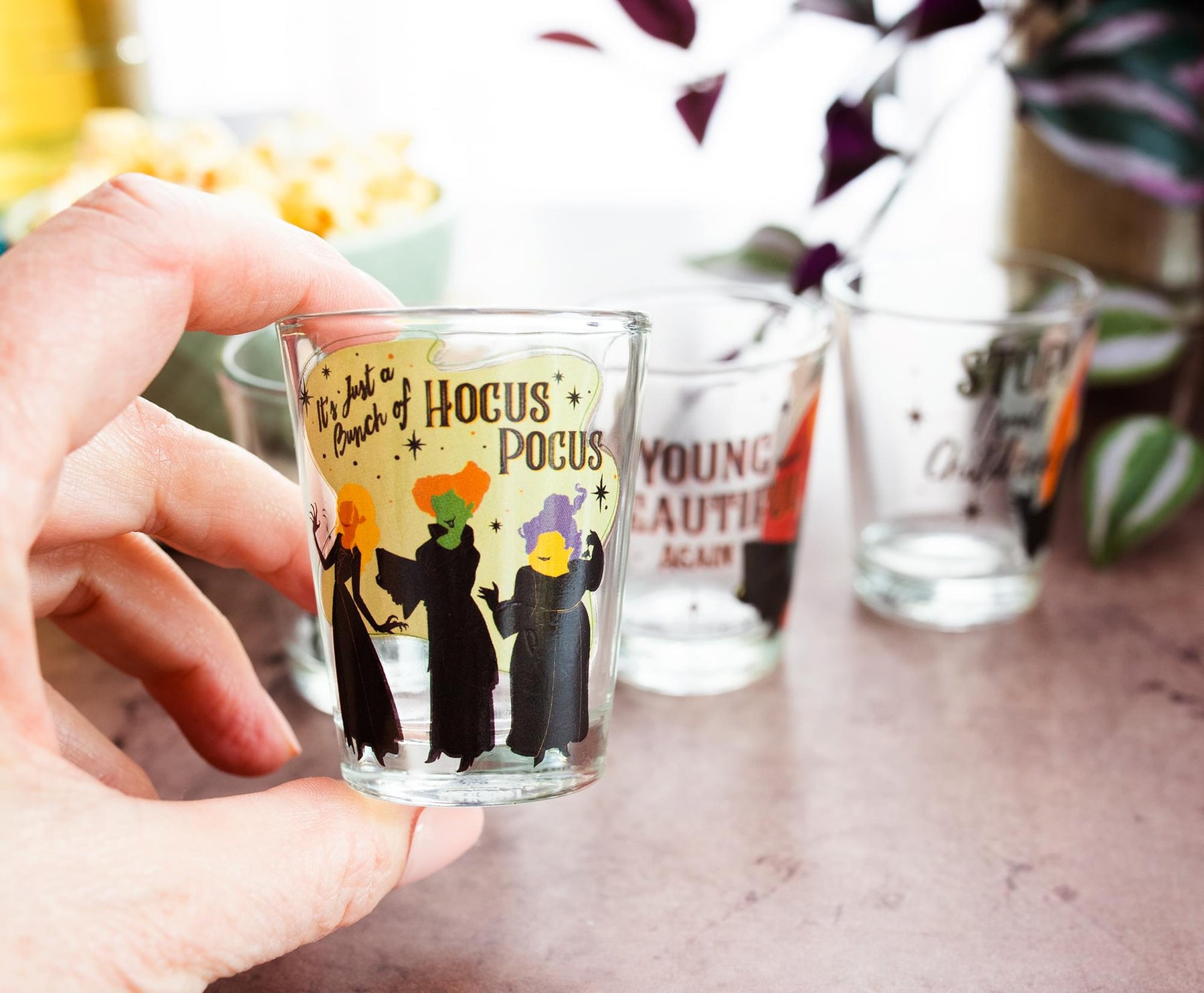 Disney Hocus Pocus Sanderson Sisters Mini Shot Glasses | Set of 4