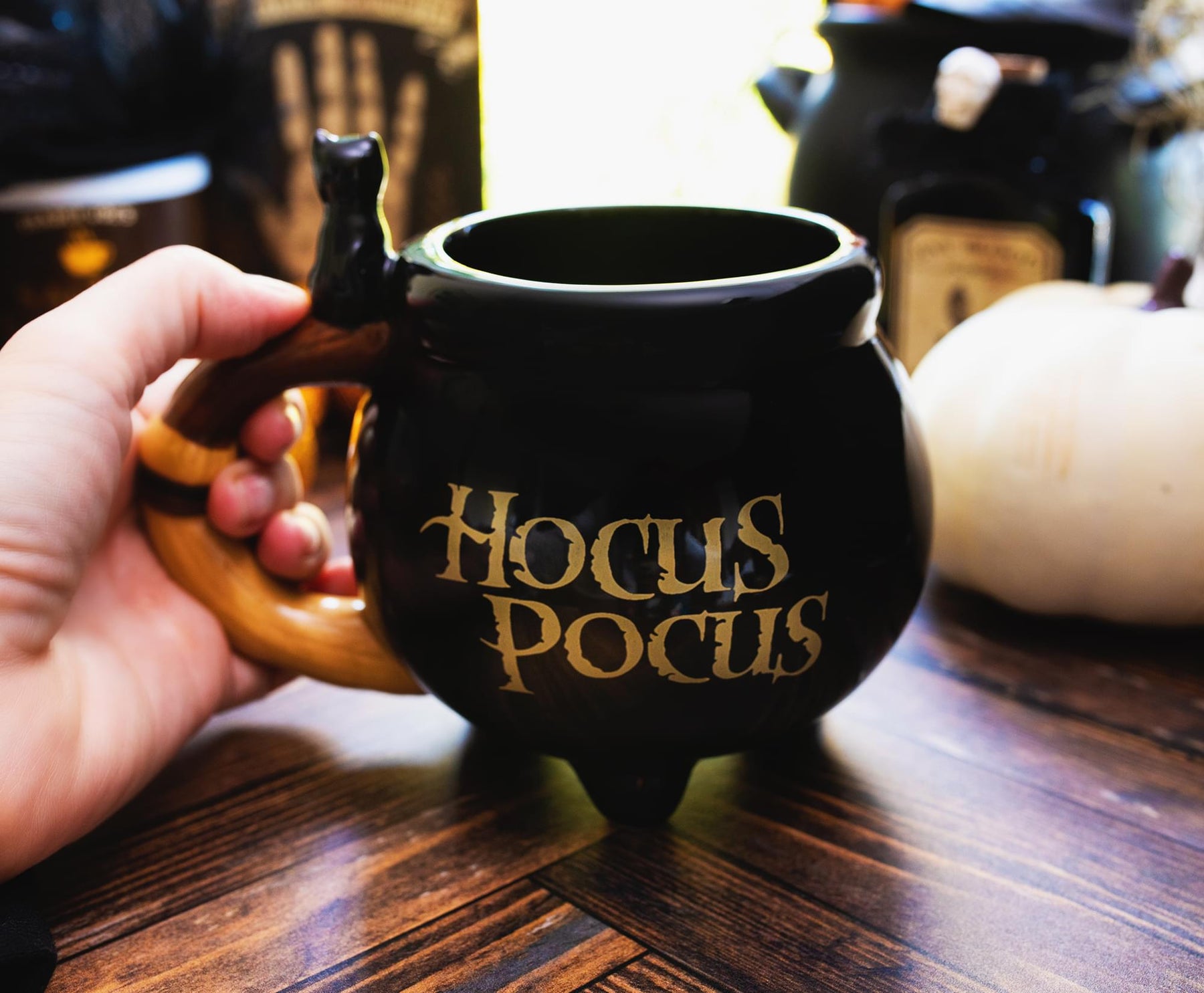 Disney Hocus Pocus Sanderson Sisters Cauldron Sculpted Ceramic Mug | 20 Ounces