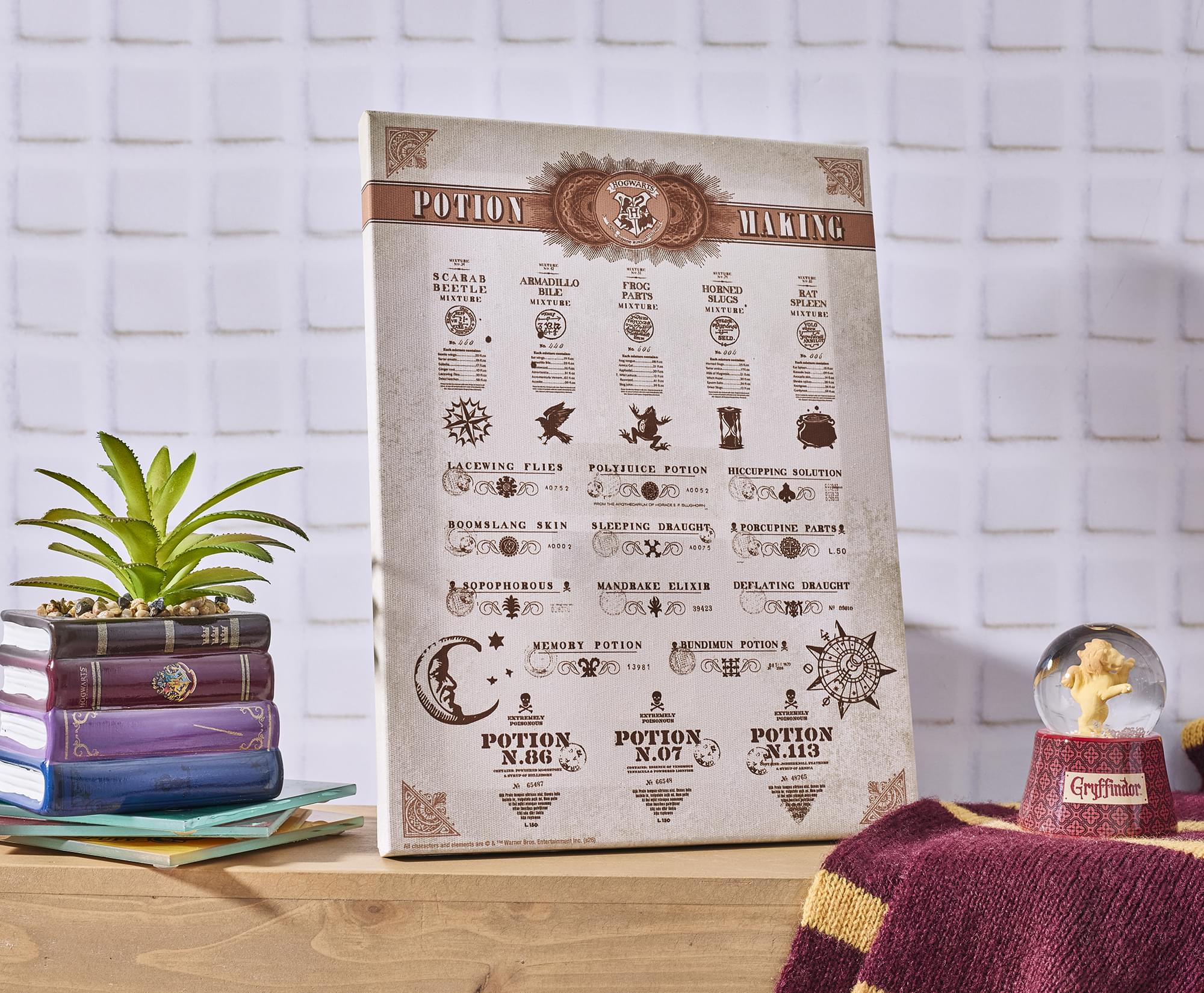 Harry Potter Potion Chart Canvas Wall Art With Magnets | 7.5 x 10 Inches