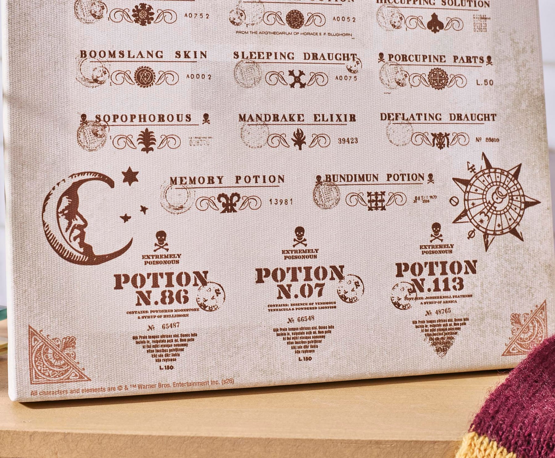 Harry Potter Potion Chart Canvas Wall Art With Magnets | 7.5 x 10 Inches