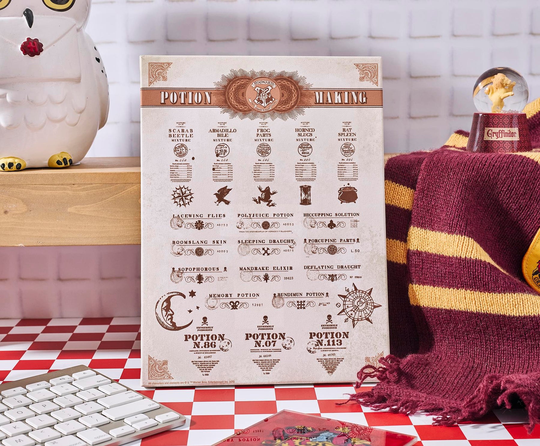 Harry Potter Potion Chart Canvas Wall Art With Magnets | 7.5 x 10 Inches