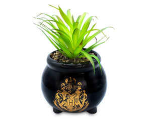 Harry Potter Hogwarts Cauldron 8.25 x 4.5 x 4.5 Inch Ceramic Planter w/ Artificial Plant