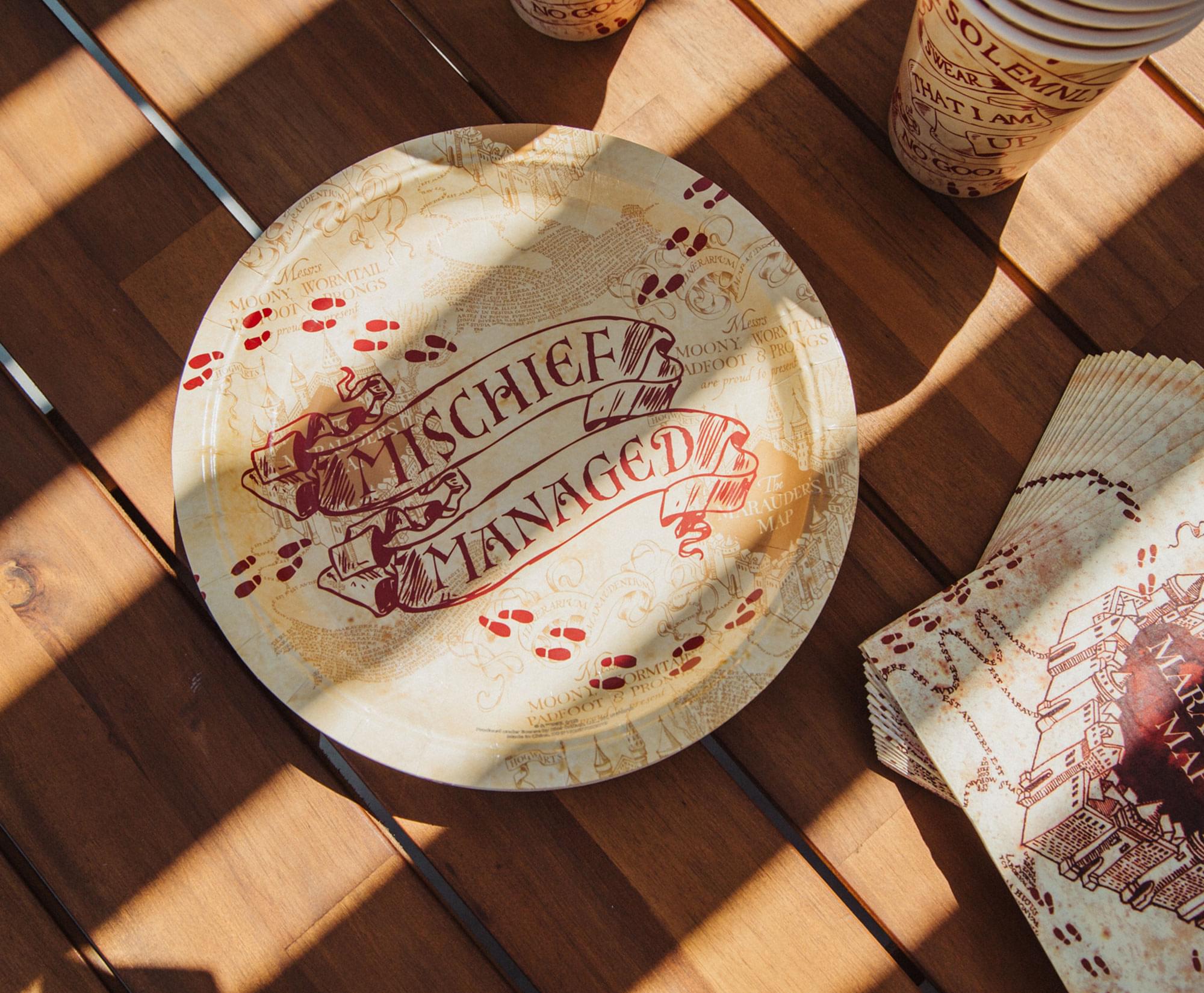 Harry Potter Marauder's Map 60-Piece Party Tableware Set | Cups, Plates, Napkins