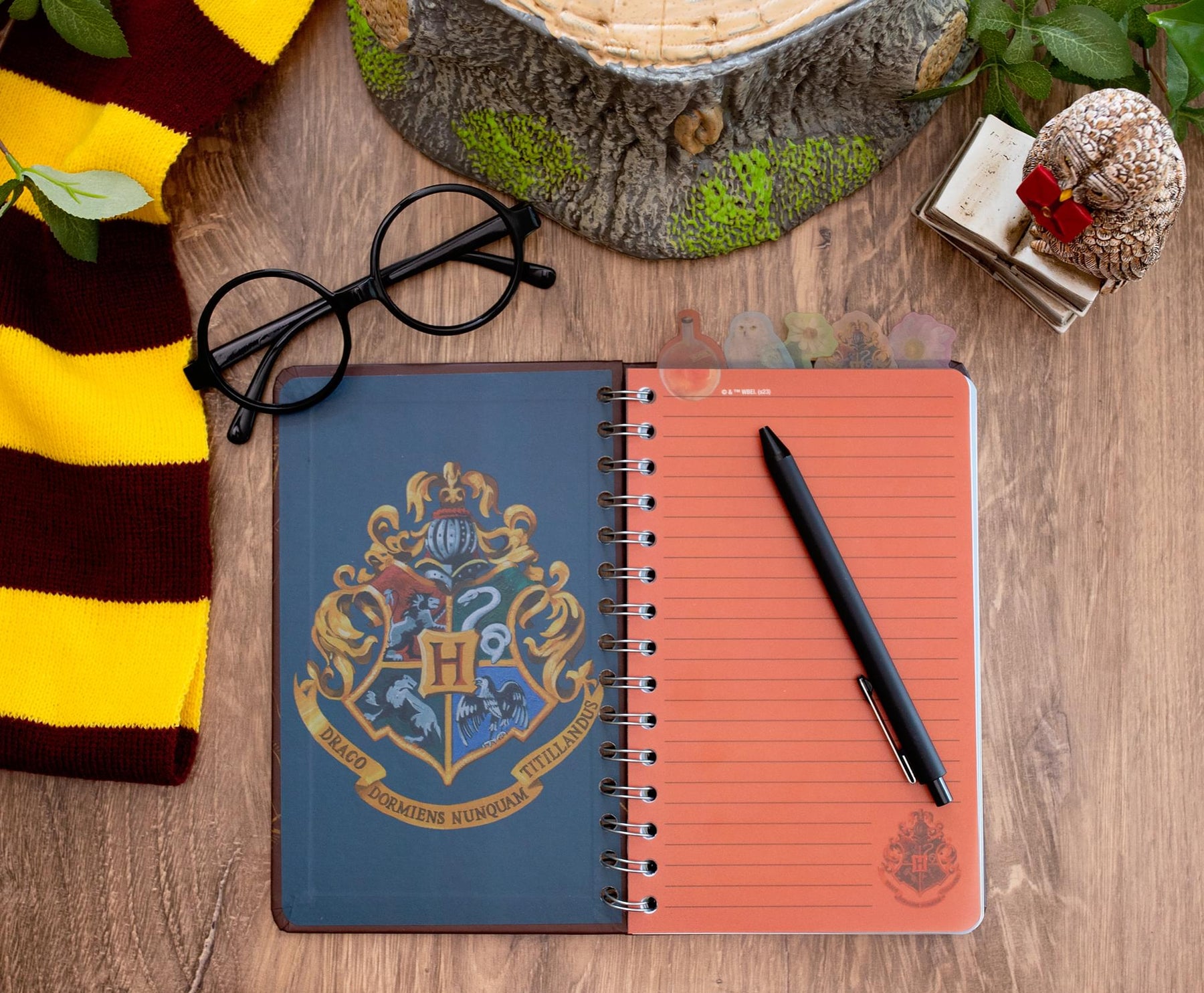 Harry Potter Dark Garden Anime Notebook Tabbed Journal College Ruled 288 Pages