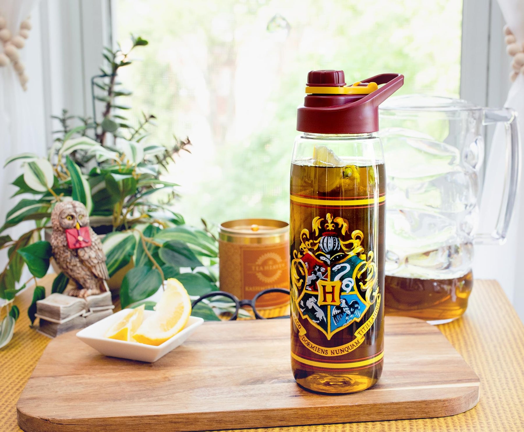 Harry Potter Hogwarts Anime Water Bottle With Screw-Top Lid | Holds 28 Ounces