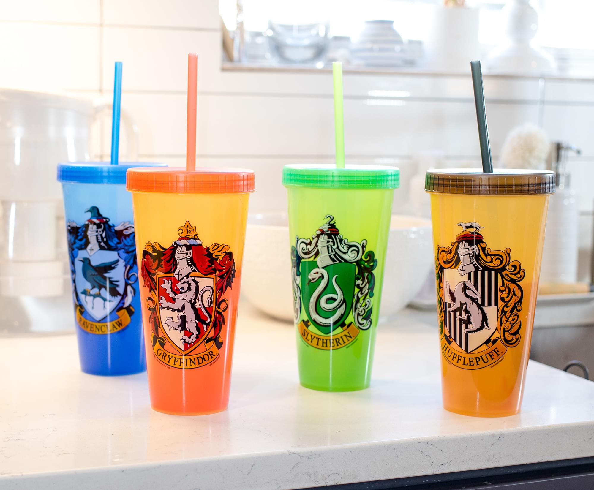 Harry Potter Hogwarts Houses Color-Changing Plastic Tumblers | Set Of 4