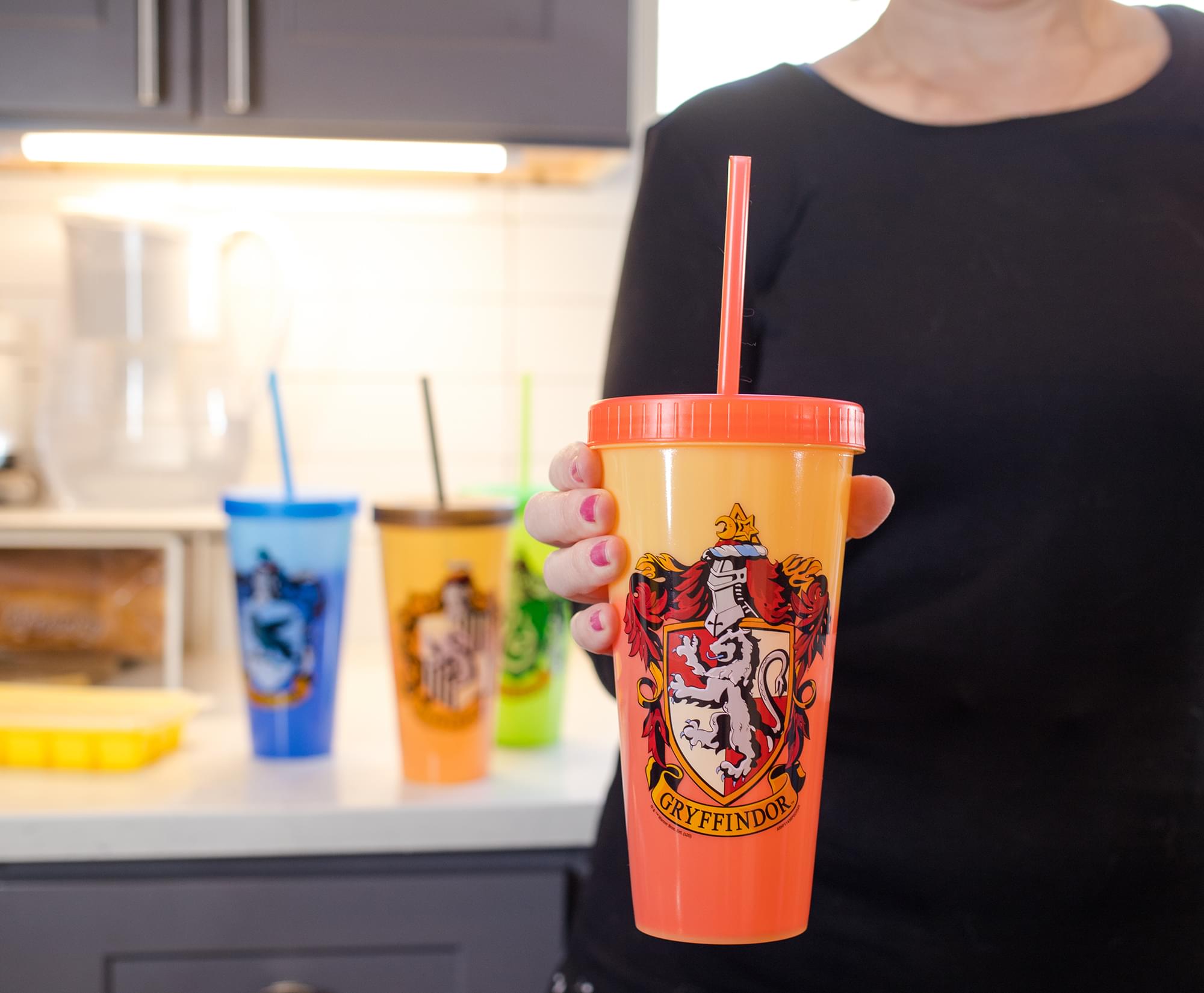 Harry Potter Hogwarts Houses Color-Changing Plastic Tumblers | Set Of 4