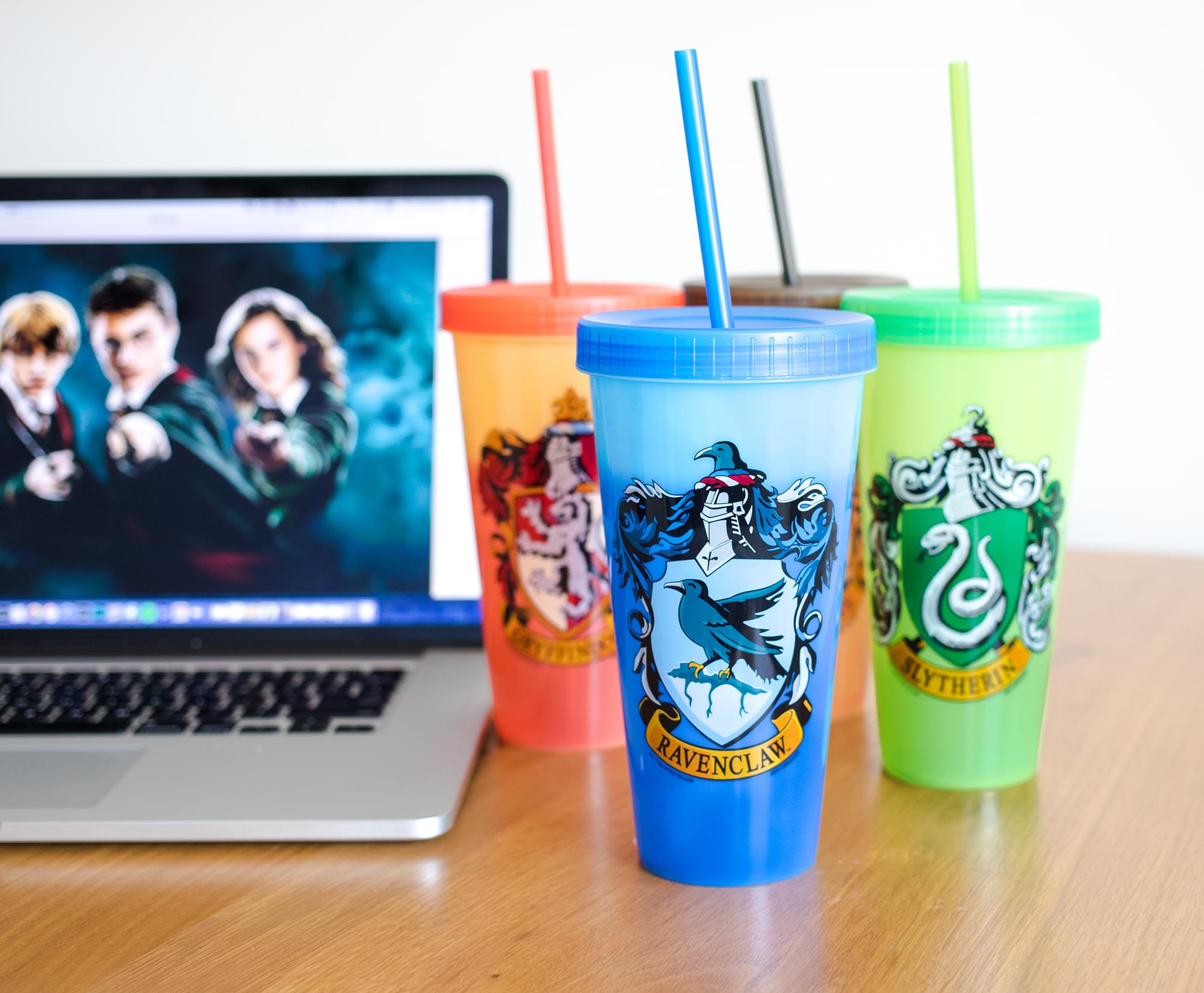 Harry Potter Hogwarts Houses Color-Changing Plastic Tumblers | Set Of 4