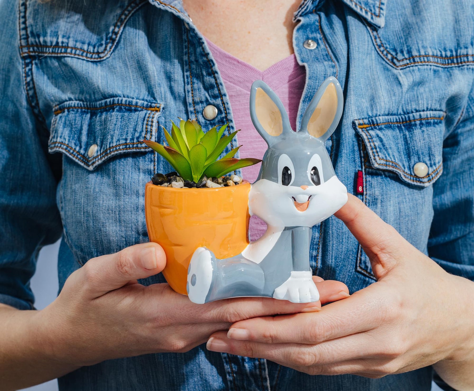 succulent bunny planter Looney Tunes Bugs Bunny 5" Ceramic Mini Planter With Artificial Succulent