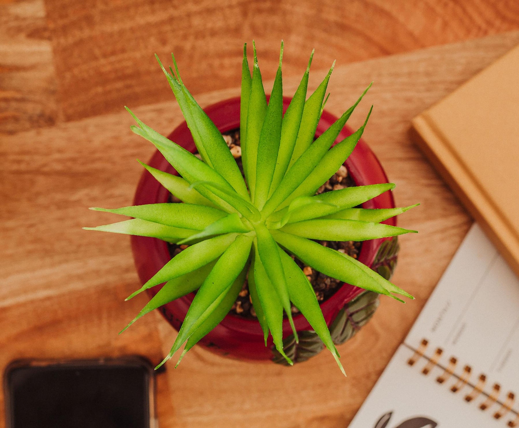 The Office Schrute Farms Rustic 8-Inch Planter With Artificial Succulent