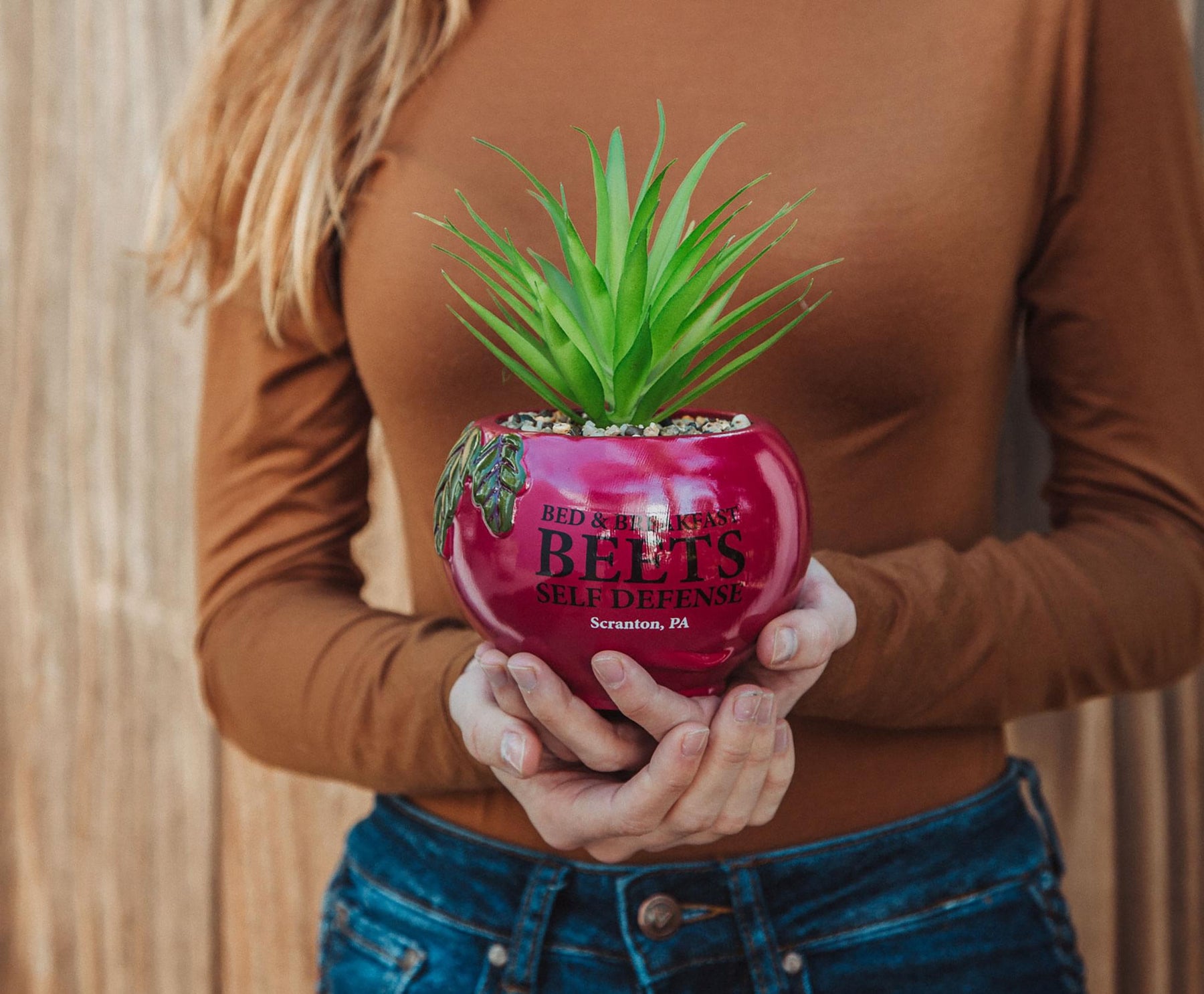 The Office Schrute Farms Rustic 8-Inch Planter With Artificial Succulent