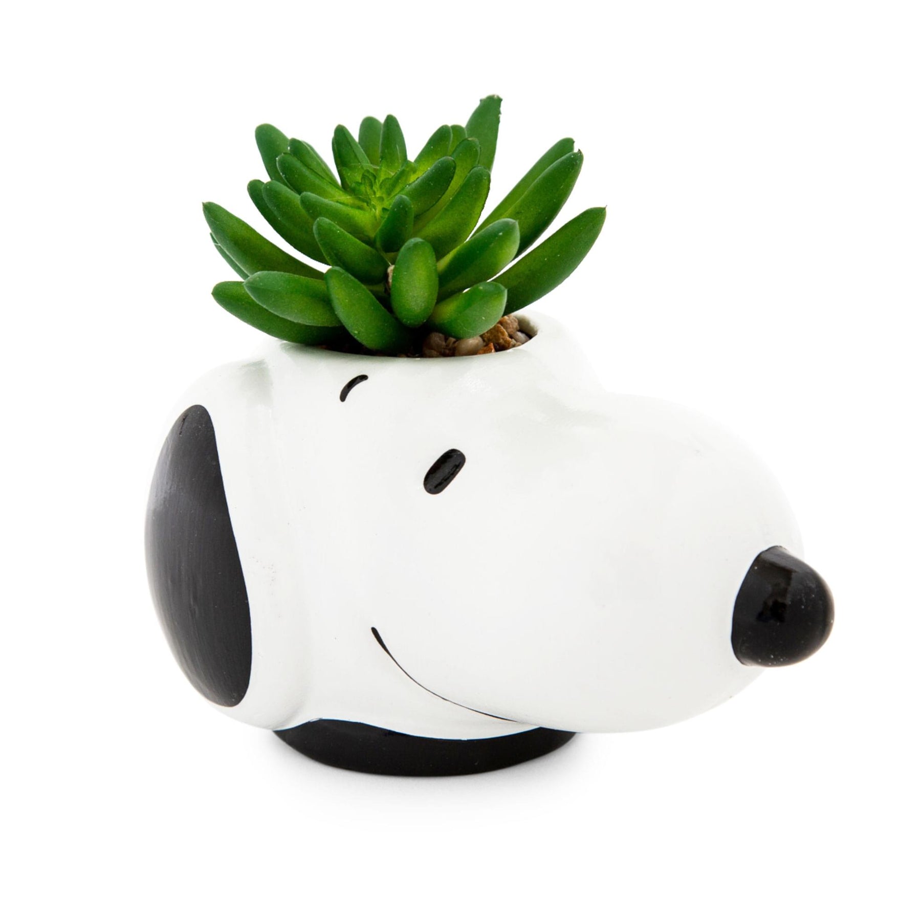 Peanuts Snoopy Face Ceramic Mini Planter with Artificial Succulent | 3.5"L x 5" H x 5" W