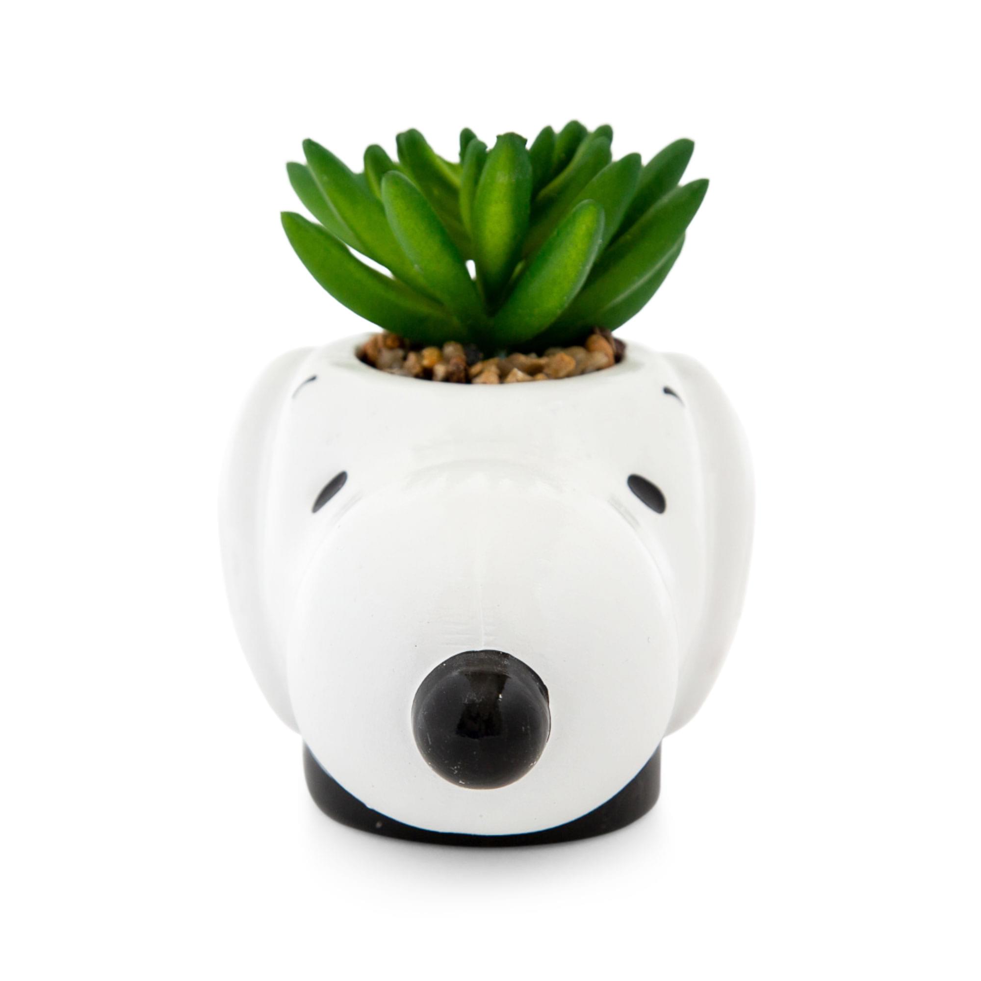 Peanuts Snoopy Face Ceramic Mini Planter with Artificial Succulent | 3.5"L x 5" H x 5" W