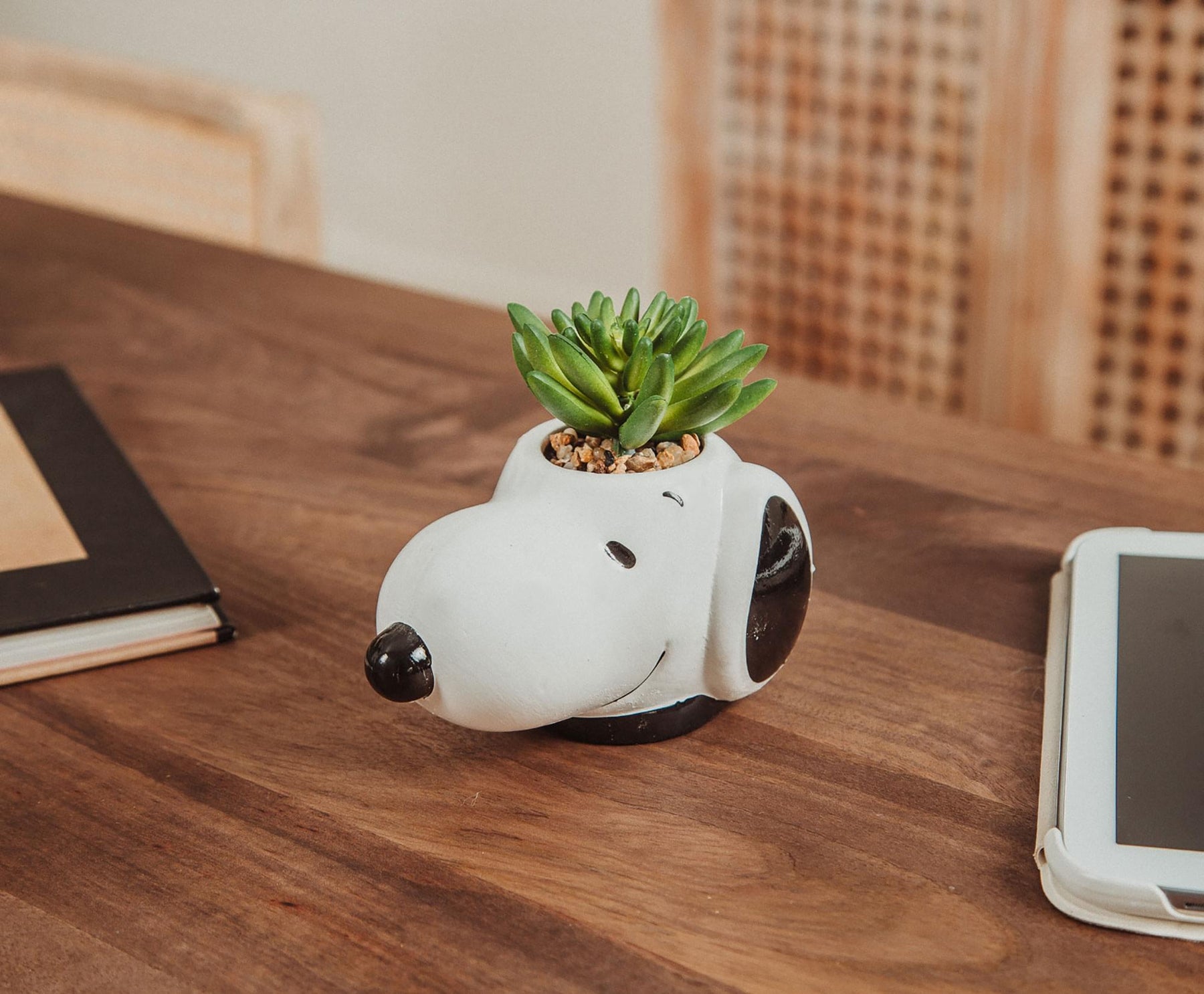 Peanuts Snoopy Face Ceramic Mini Planter with Artificial Succulent | 3.5"L x 5" H x 5" W