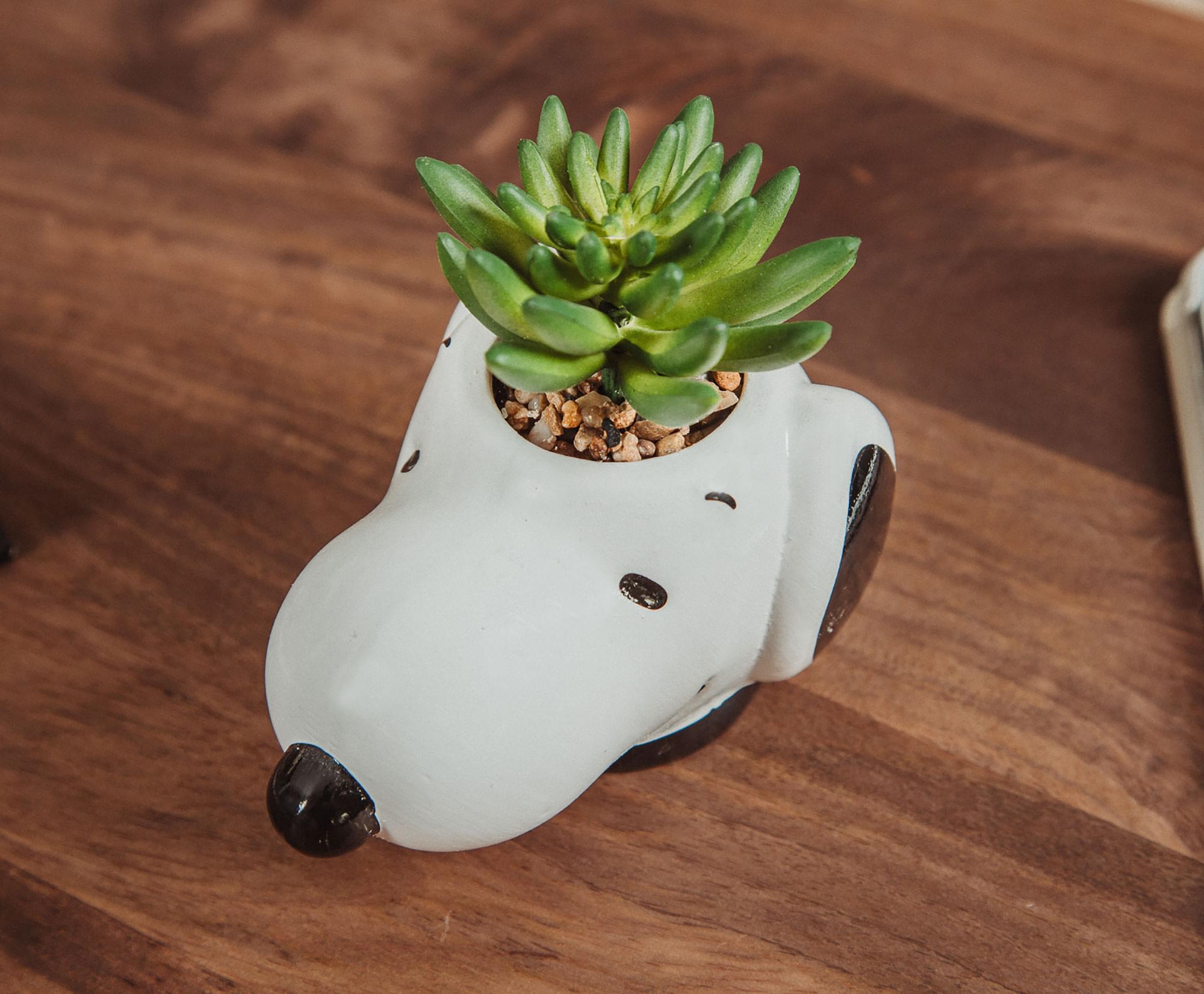 Peanuts Snoopy Face Ceramic Mini Planter with Artificial Succulent | 3.5"L x 5" H x 5" W