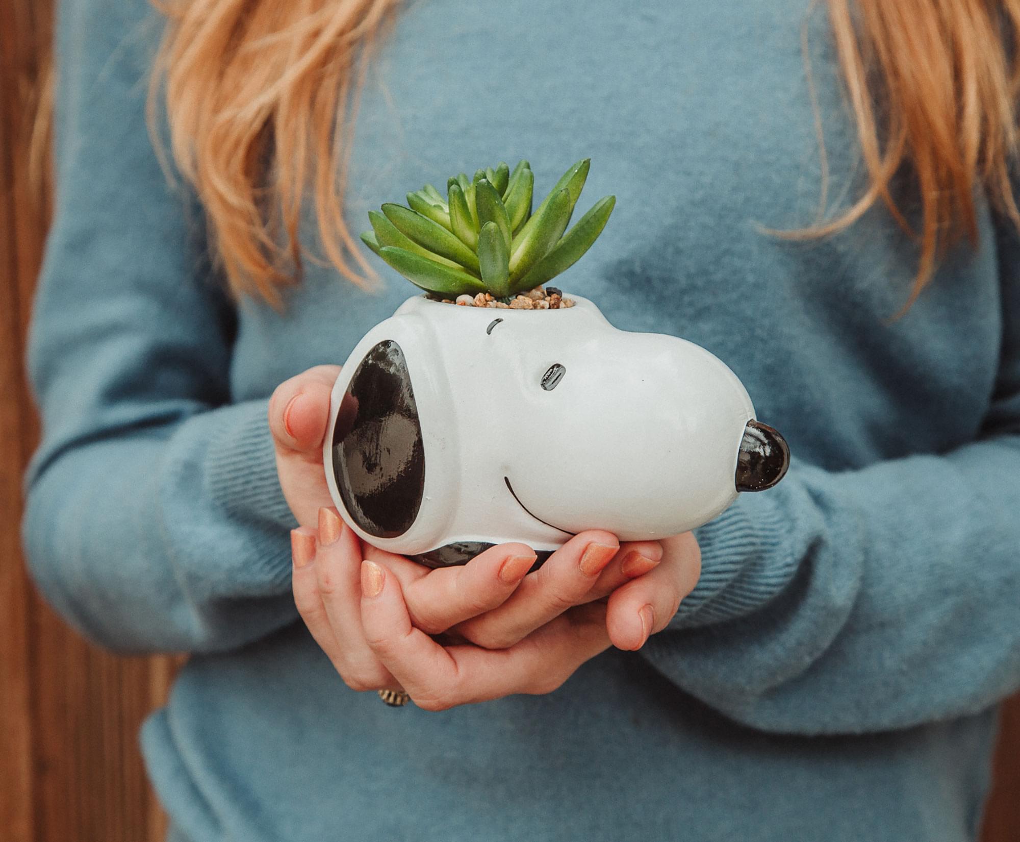 Peanuts Snoopy Face Ceramic Mini Planter with Artificial Succulent | 3.5"L x 5" H x 5" W
