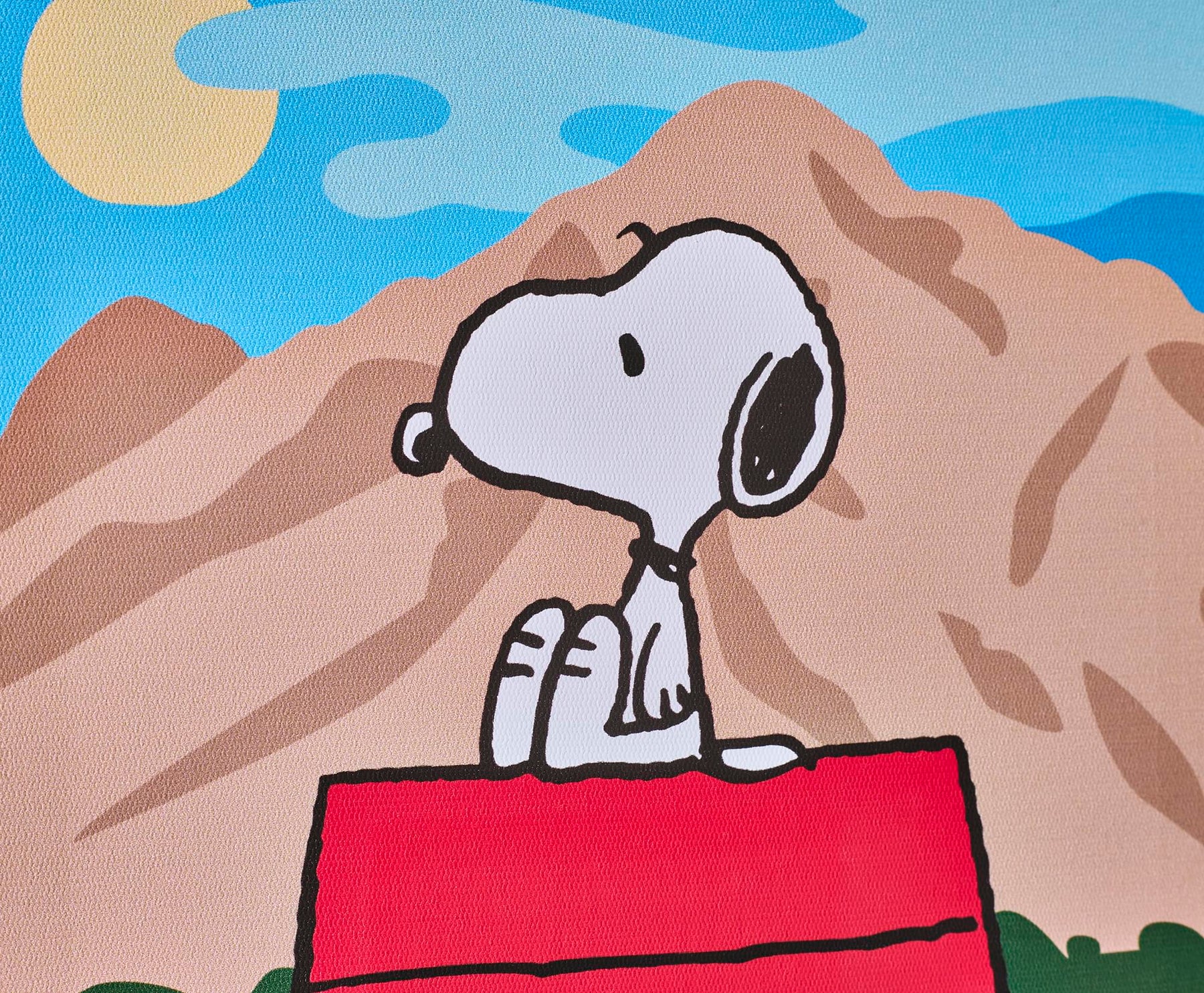 Peanuts Great Outdoors Snoopy Canvas Wall Art With Magnets | 7.5 x 10 Inches