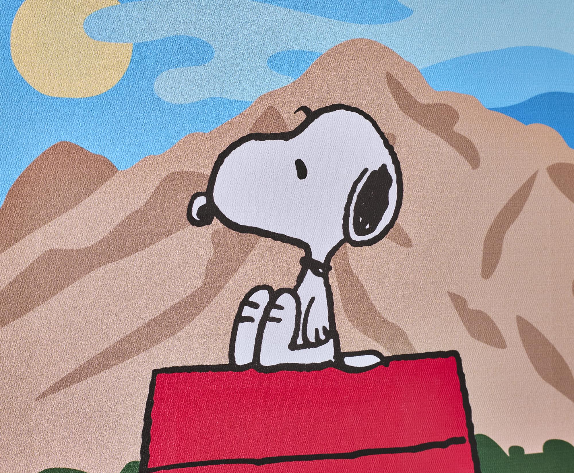 Peanuts Great Outdoors Snoopy Canvas Wall Art With Magnets | 7.5 x 10 Inches