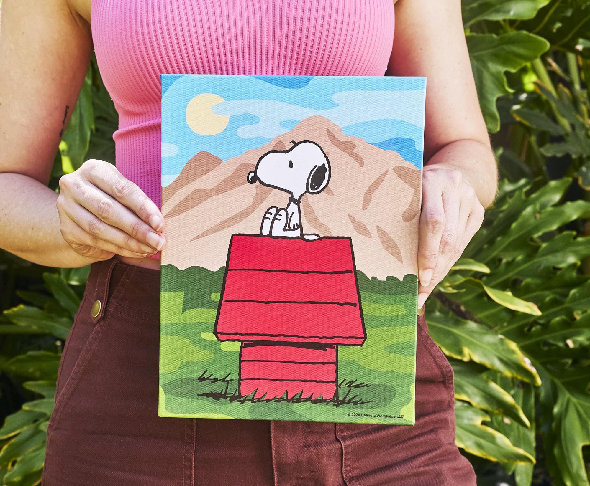 Peanuts Great Outdoors Snoopy Canvas Wall Art With Magnets | 7.5 x 10 Inches