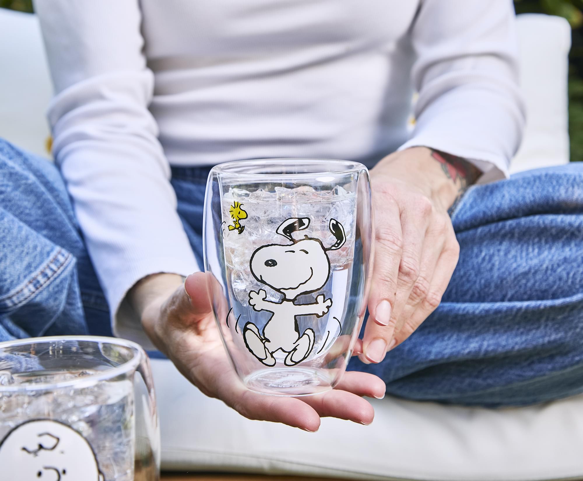 Peanuts Charlie Brown and Snoopy 12-Ounce Glasses | Set Of 2