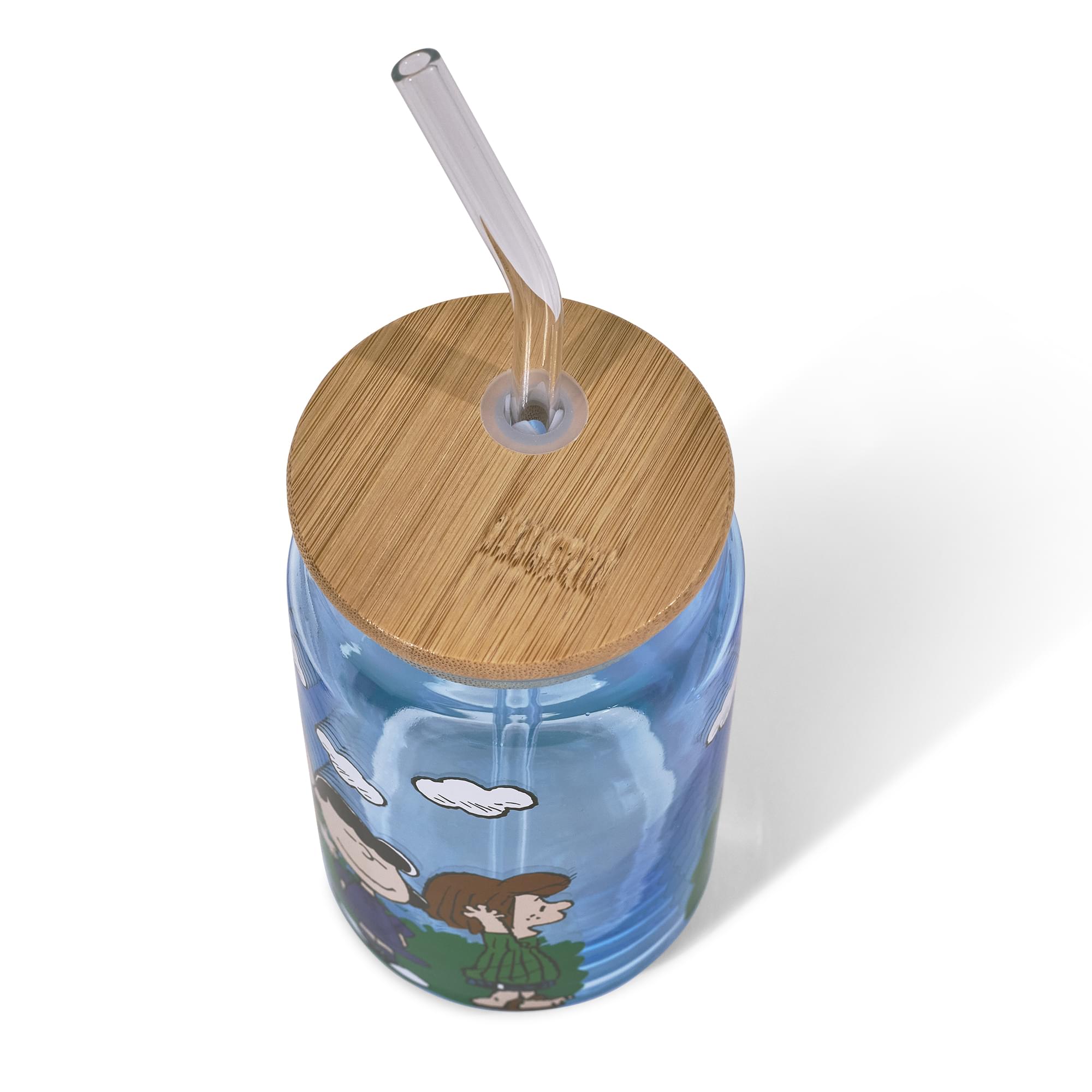 Peanuts Gang Snoopy and Friends 16-Ounce Glass Tumbler With Bamboo Lid and Glass Straw