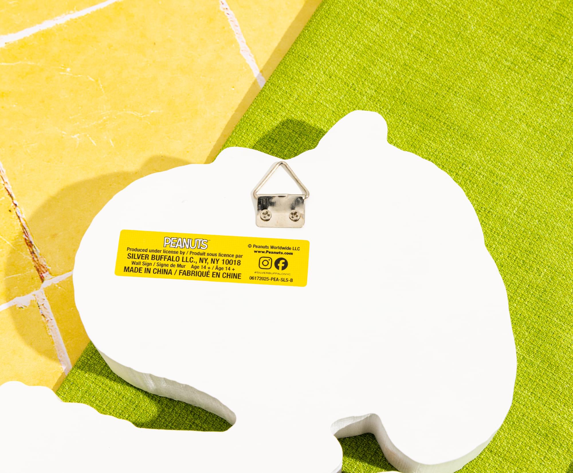 Peanuts Snoopy and Woodstock Bookworm MDF Box Sign