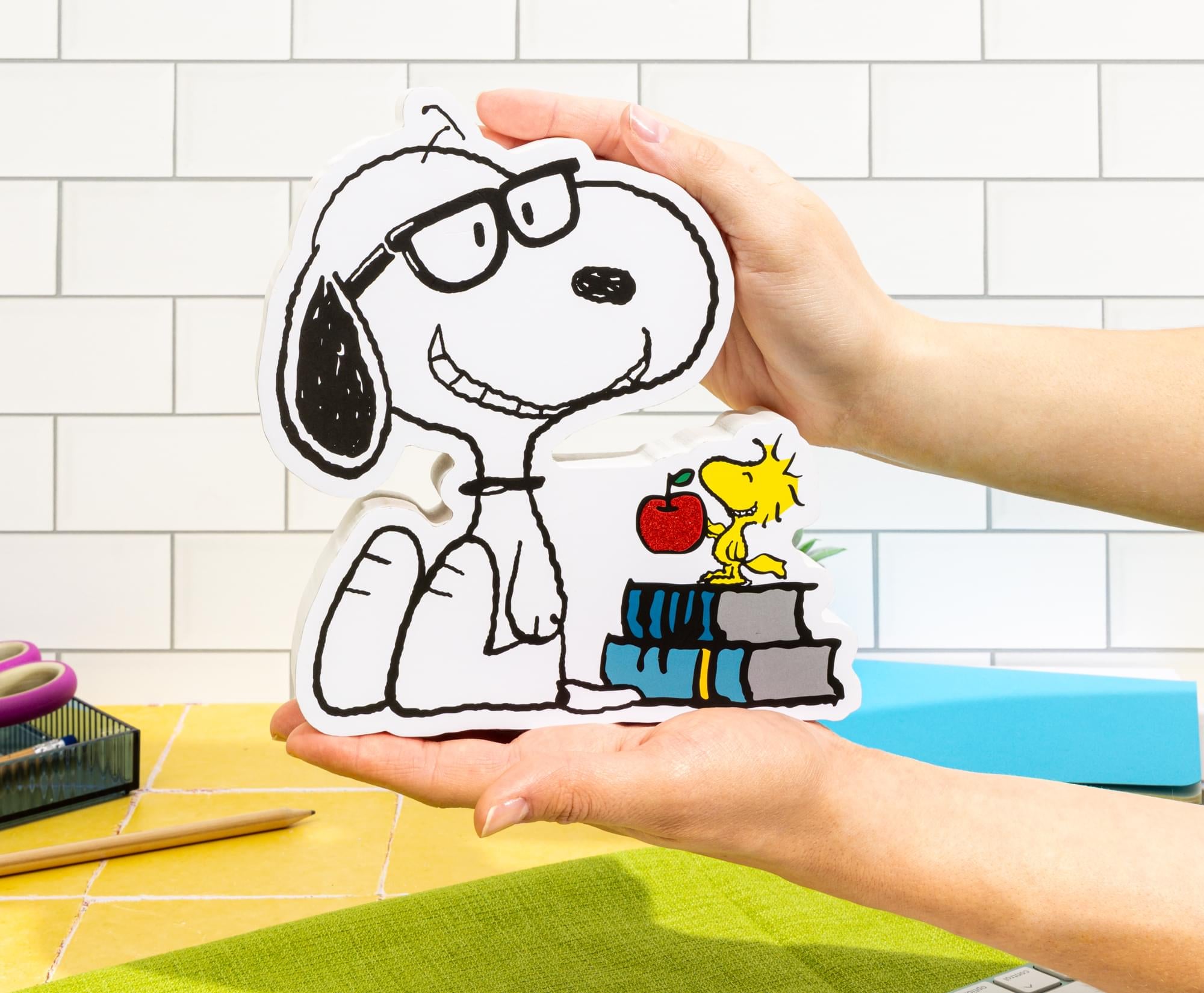 Peanuts Snoopy and Woodstock Bookworm MDF Box Sign