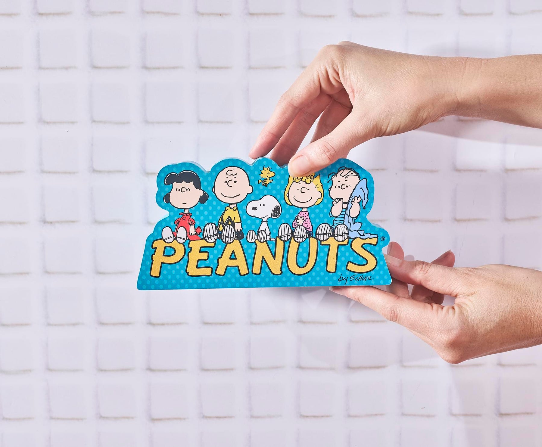 Peanuts Snoopy and Friends Character Cast MDF Box Sign | 5 x 7 Inches