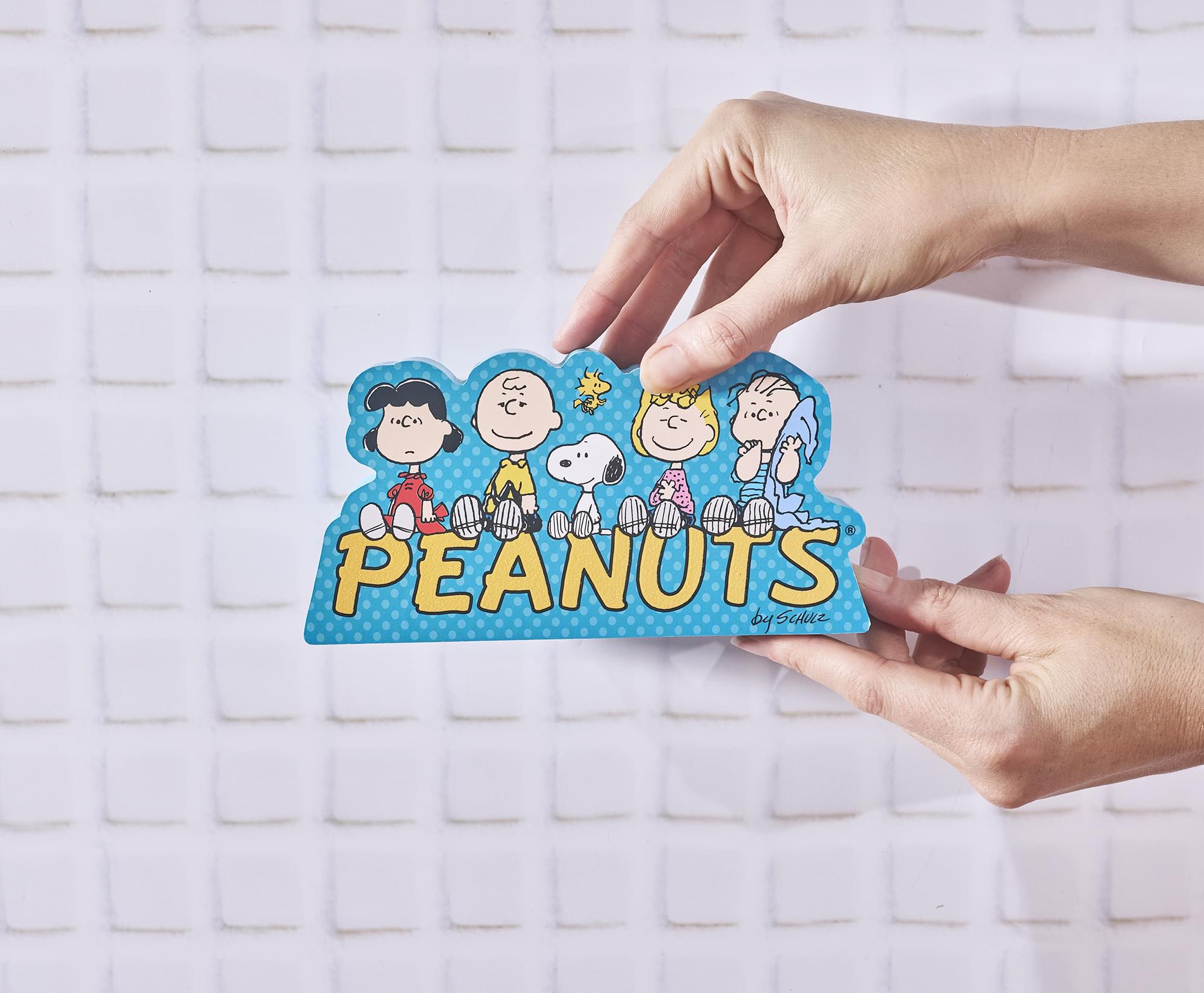Peanuts Snoopy and Friends Character Cast MDF Box Sign | 5 x 7 Inches