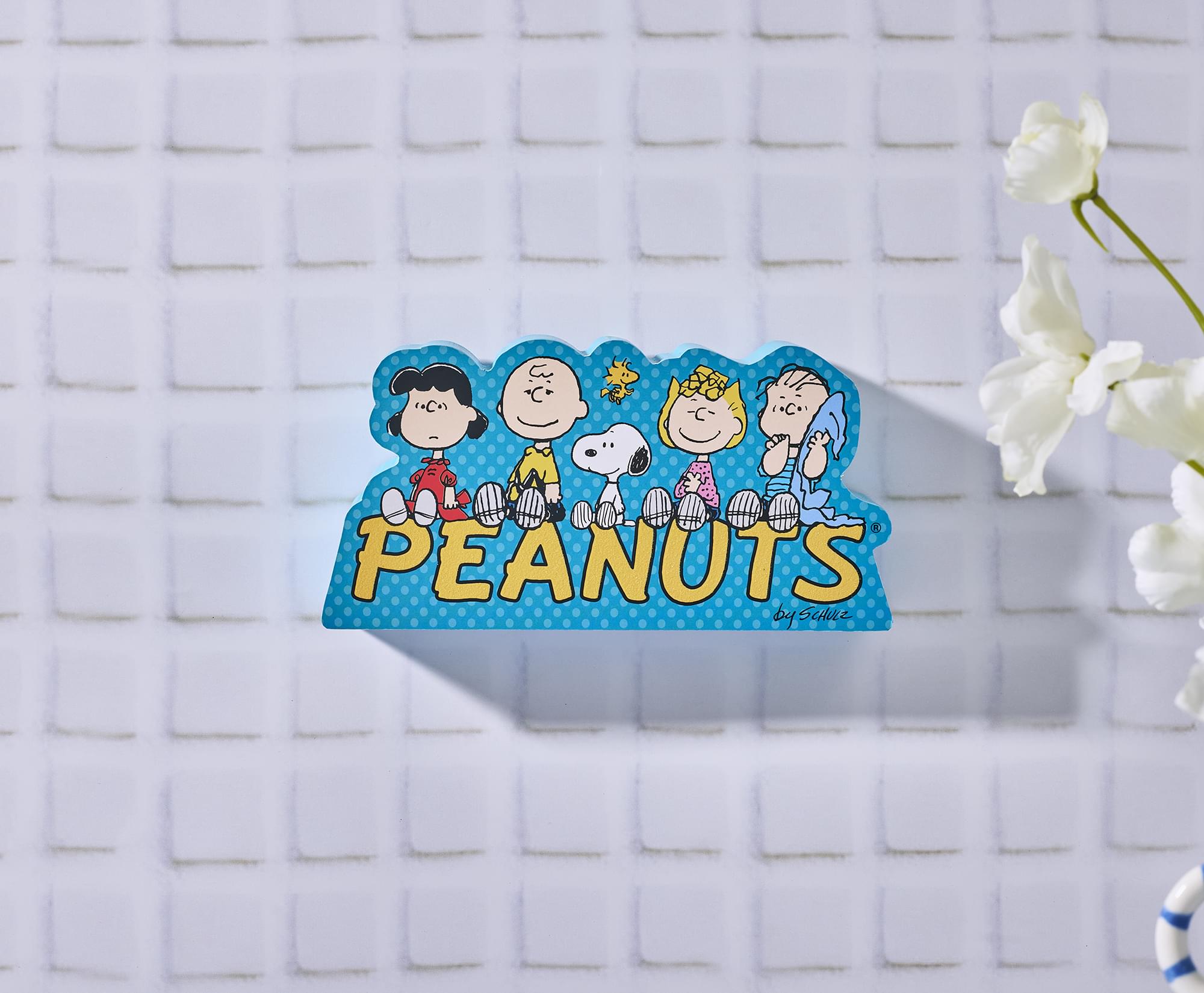 Peanuts Snoopy and Friends Character Cast MDF Box Sign | 5 x 7 Inches