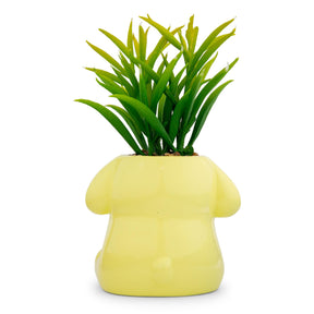 Sanrio Pompompurin 3-Inch Ceramic Mini Planter With Artificial Succulent