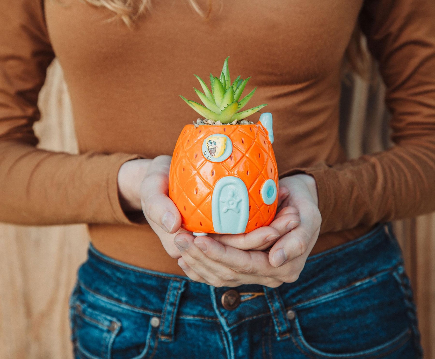 ceramic pineapple planter SpongeBob Pineapple House 5" Ceramic Planter With Artificial Succulent