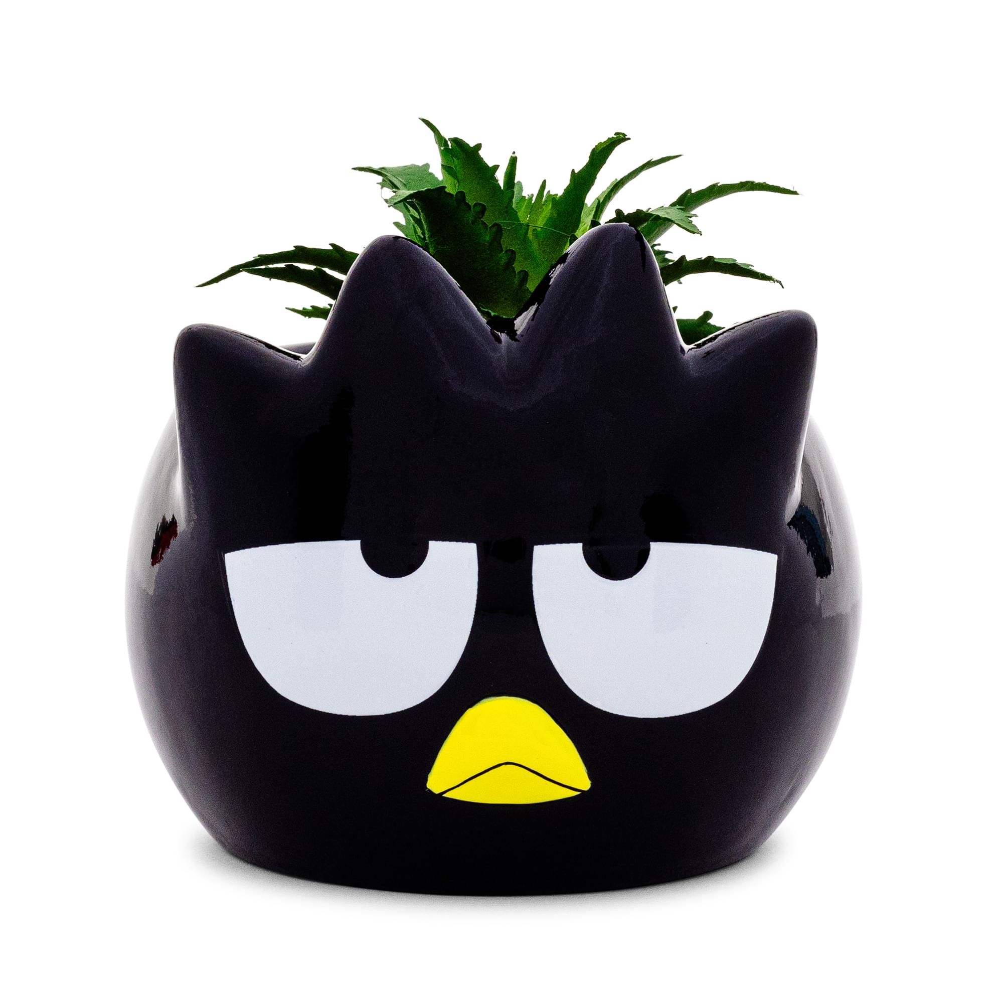 Sanrio Badtz-Maru 3-Inch Ceramic Mini Planter With Artificial Succulent