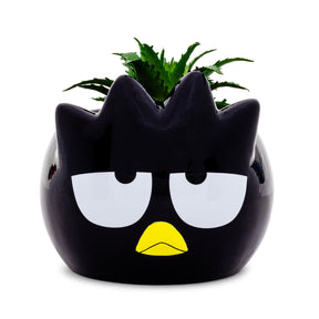 Sanrio Badtz-Maru 3-Inch Ceramic Mini Planter With Artificial Succulent