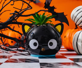Sanrio Chococat 3-Inch Ceramic Mini Planter With Artificial Succulent