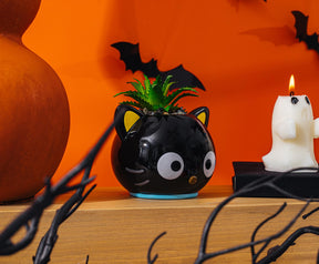 Sanrio Chococat 3-Inch Ceramic Mini Planter With Artificial Succulent