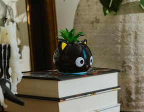 Sanrio Chococat 3-Inch Ceramic Mini Planter With Artificial Succulent