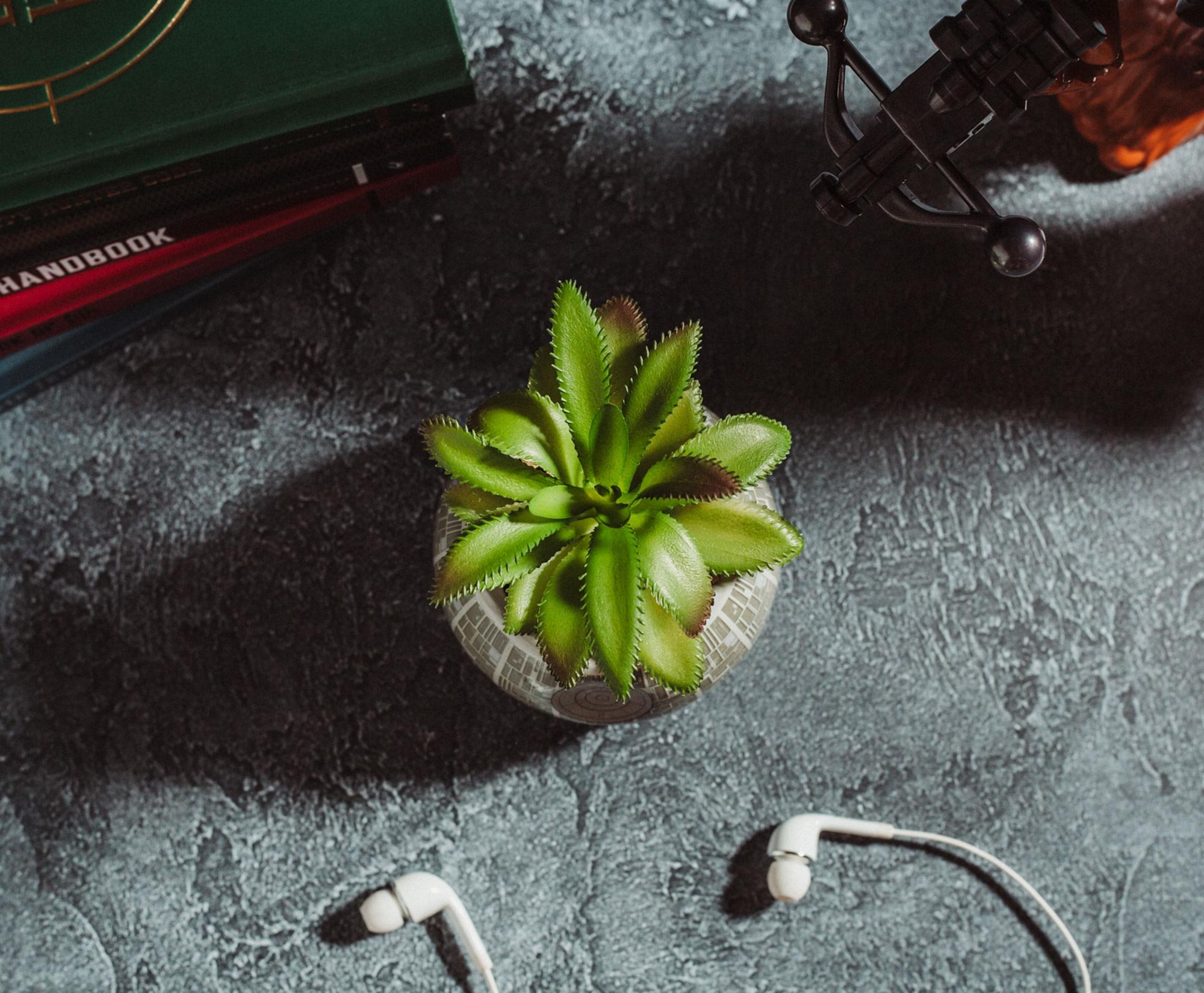 Star Wars Death Star 3-Inch Ceramic Mini Planter With Artificial Succulent