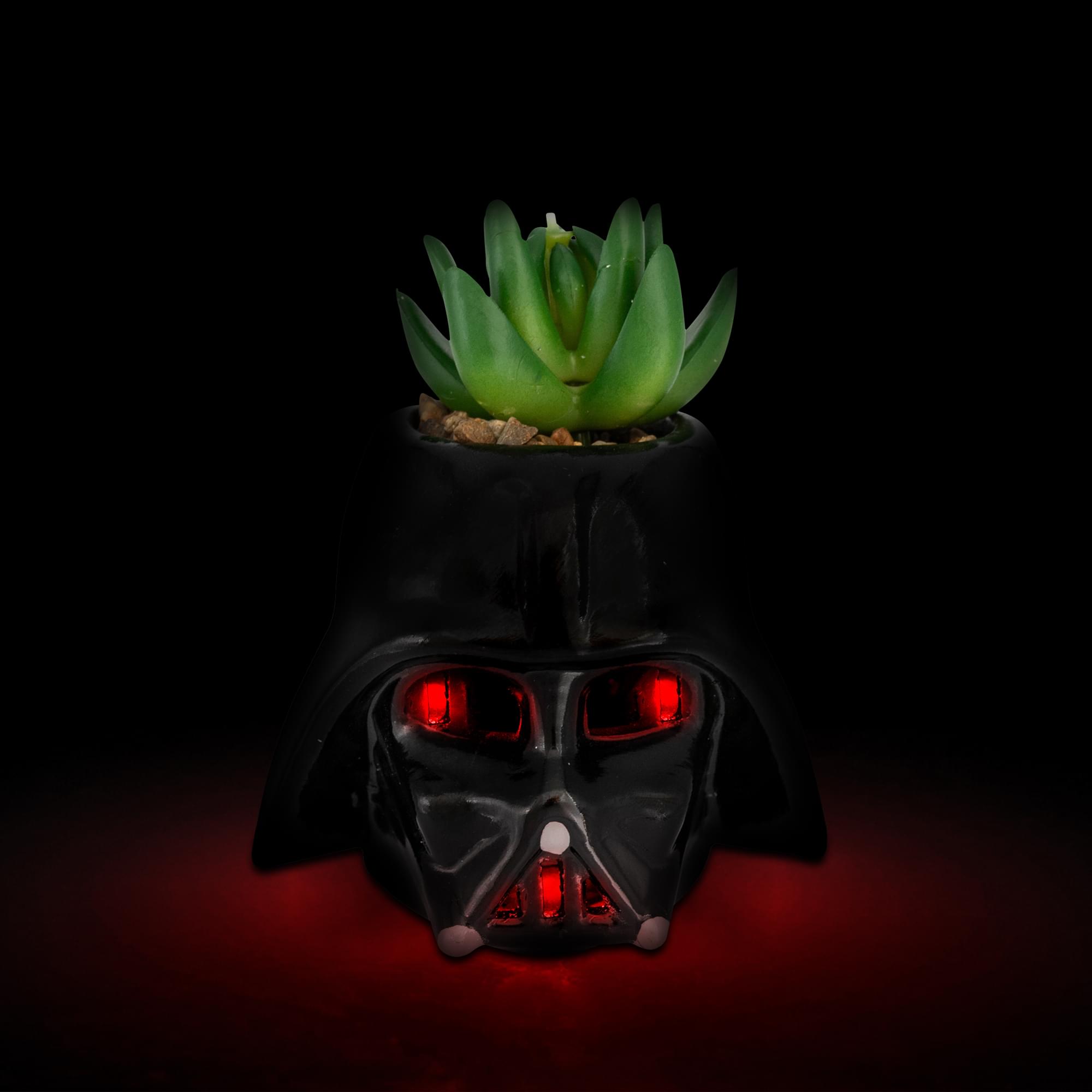 Star Wars Darth Vader Helmet Light-Up Mini Planter With Artificial Succulent