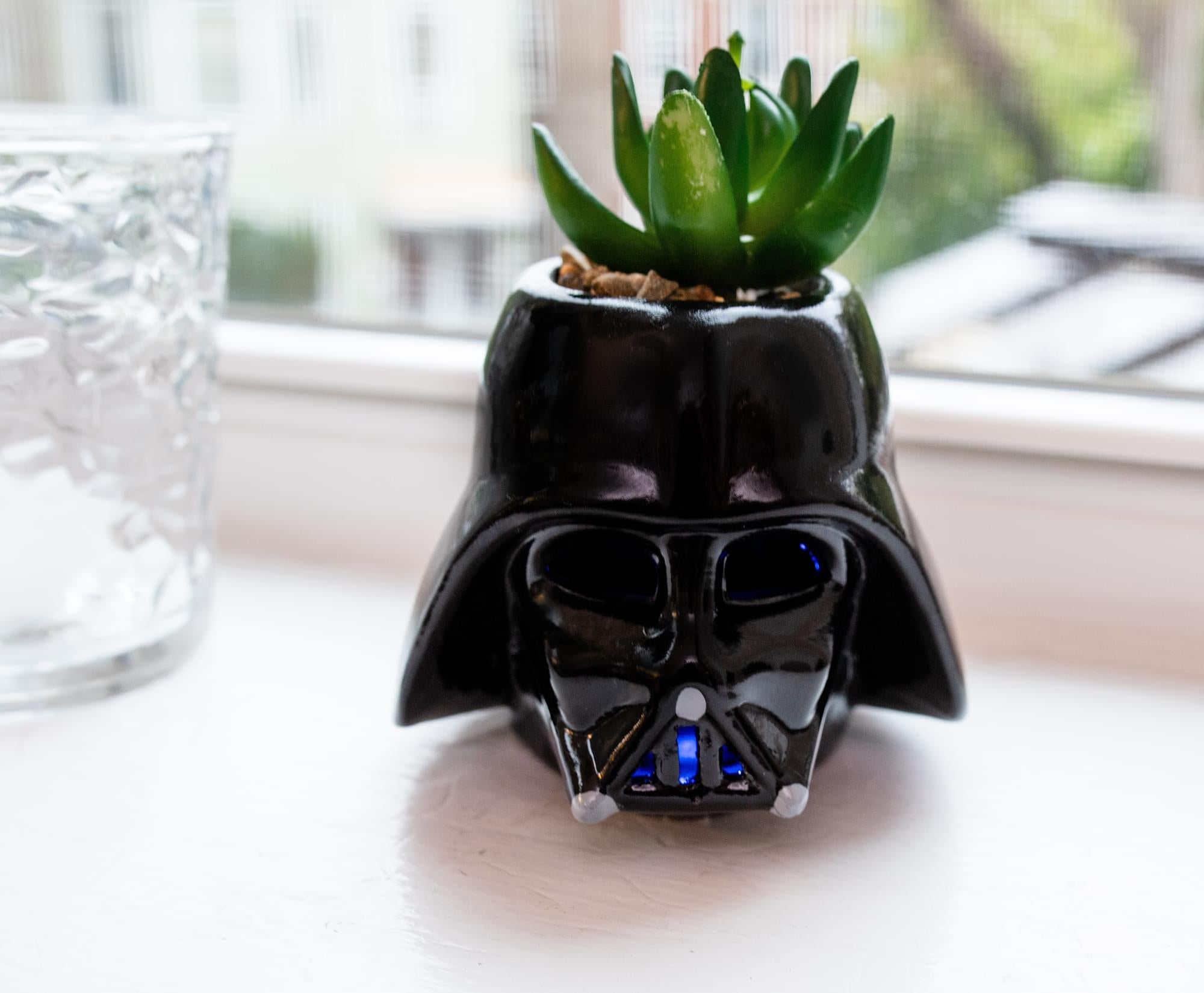 Star Wars Darth Vader Helmet Light-Up Mini Planter With Artificial Succulent
