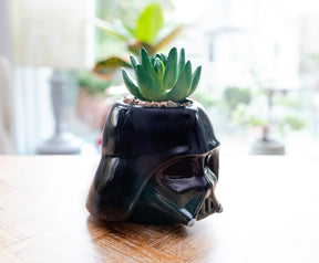 Star Wars Darth Vader Helmet Light-Up Mini Planter With Artificial Succulent