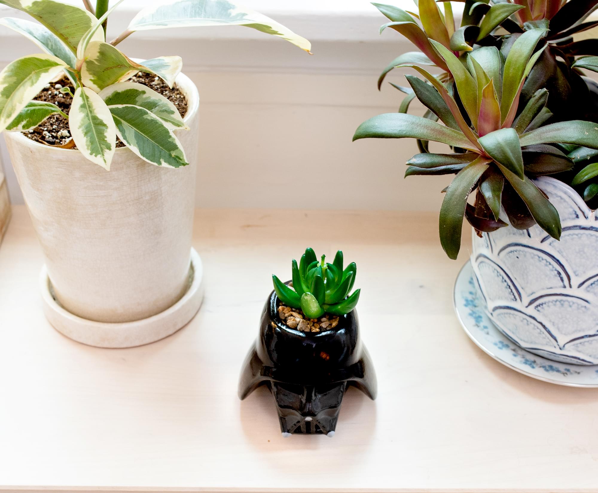 Star Wars Darth Vader Helmet Light-Up Mini Planter With Artificial Succulent