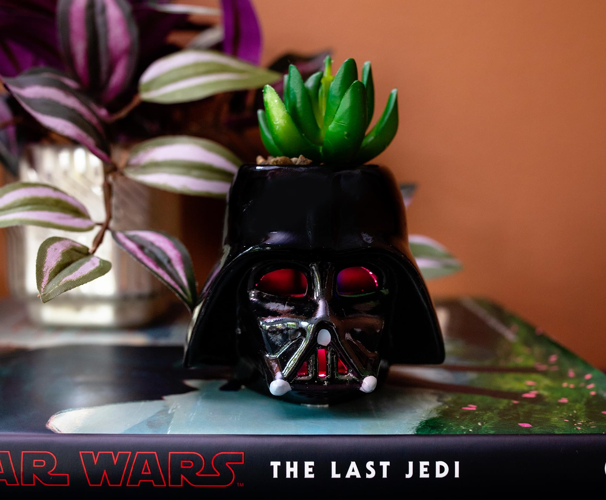 Star Wars Darth Vader Helmet Light-Up Mini Planter With Artificial Succulent