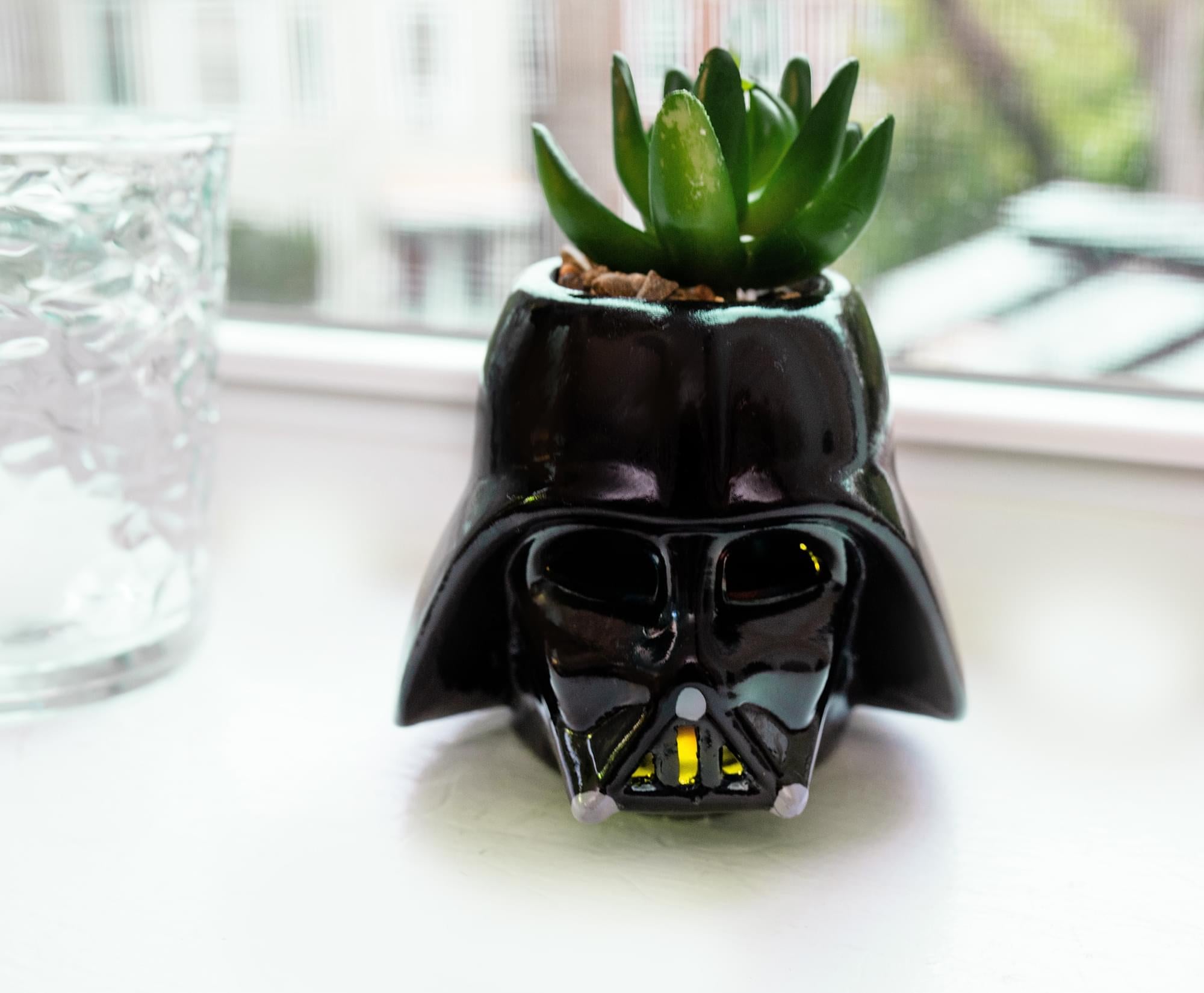Star Wars Darth Vader Helmet Light-Up Mini Planter With Artificial Succulent