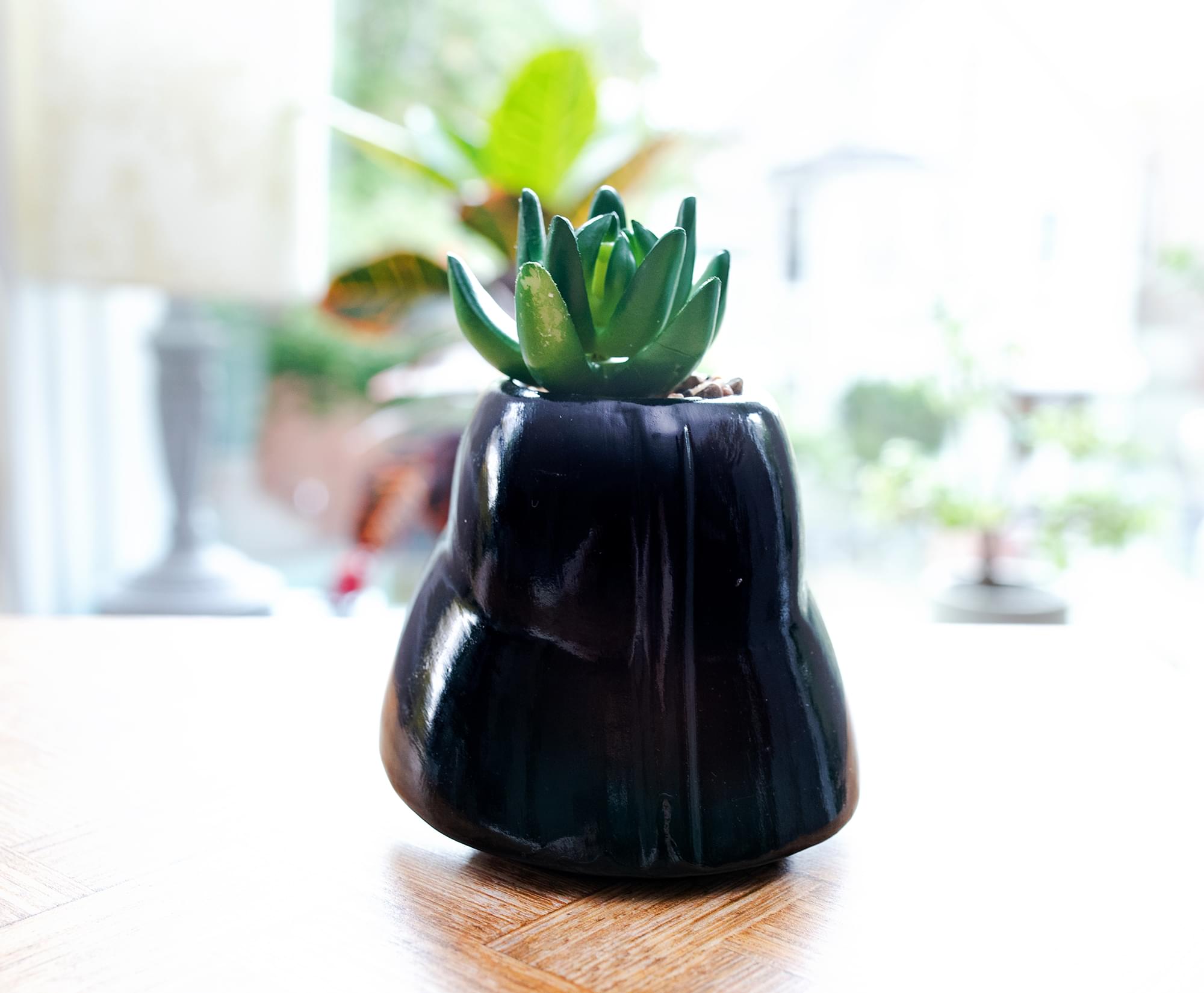 Star Wars Darth Vader Helmet Light-Up Mini Planter With Artificial Succulent