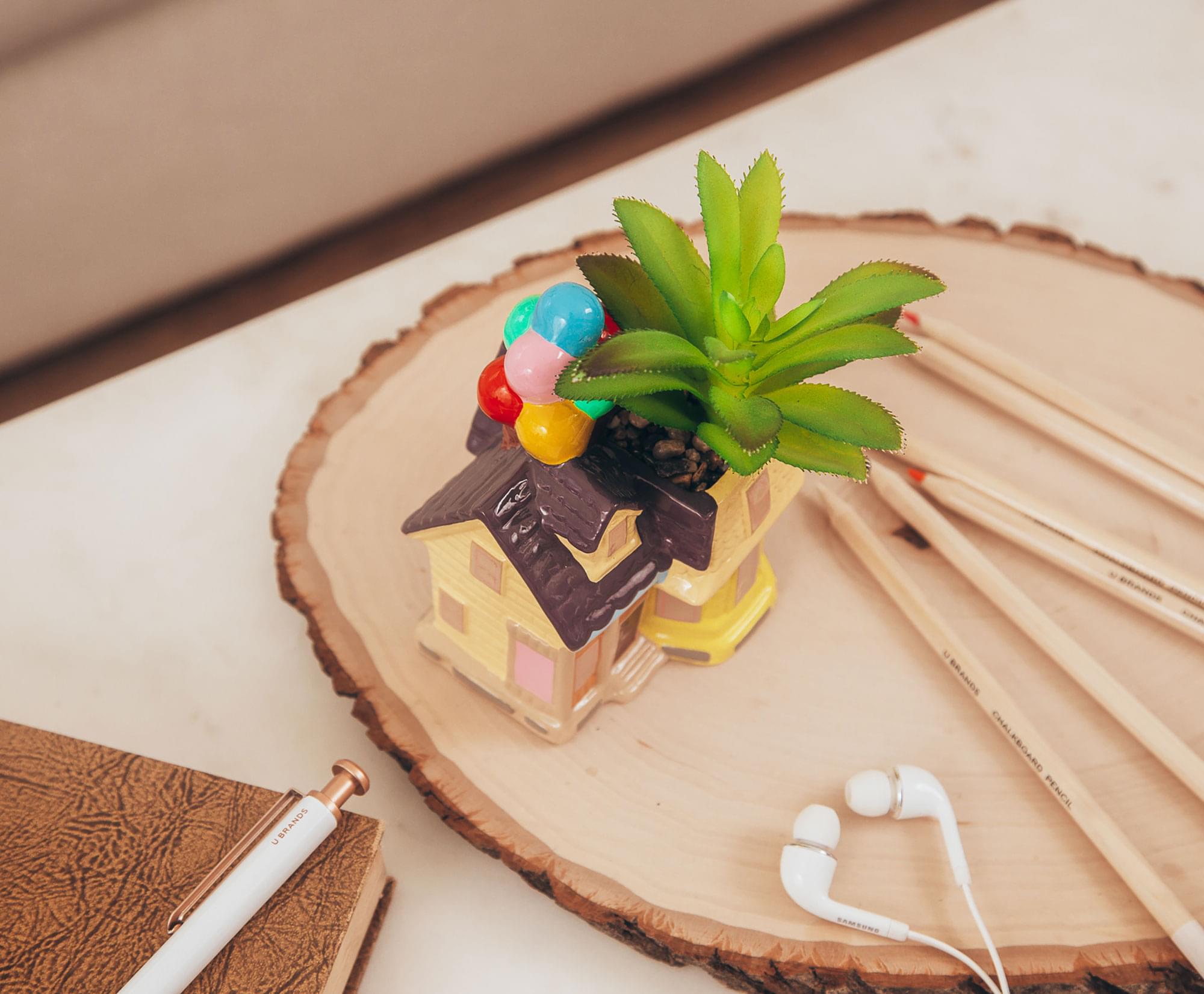 disney up succulent Disney and Pixar Up House 5" Ceramic Mini Planter with Artificial Succulent