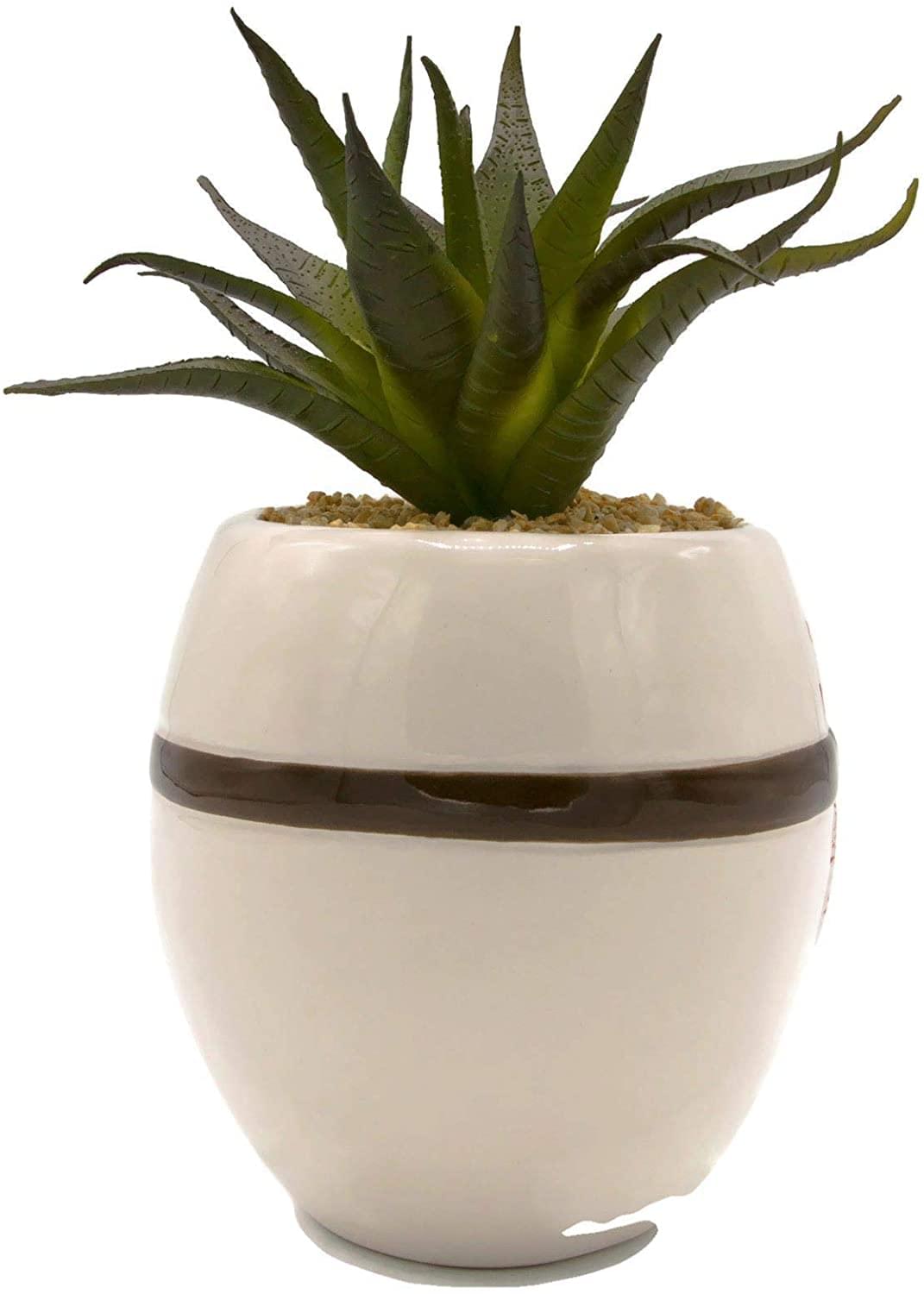 Friday the 13th Jason Voorhees Mask Large Planter with Artificial Succulent